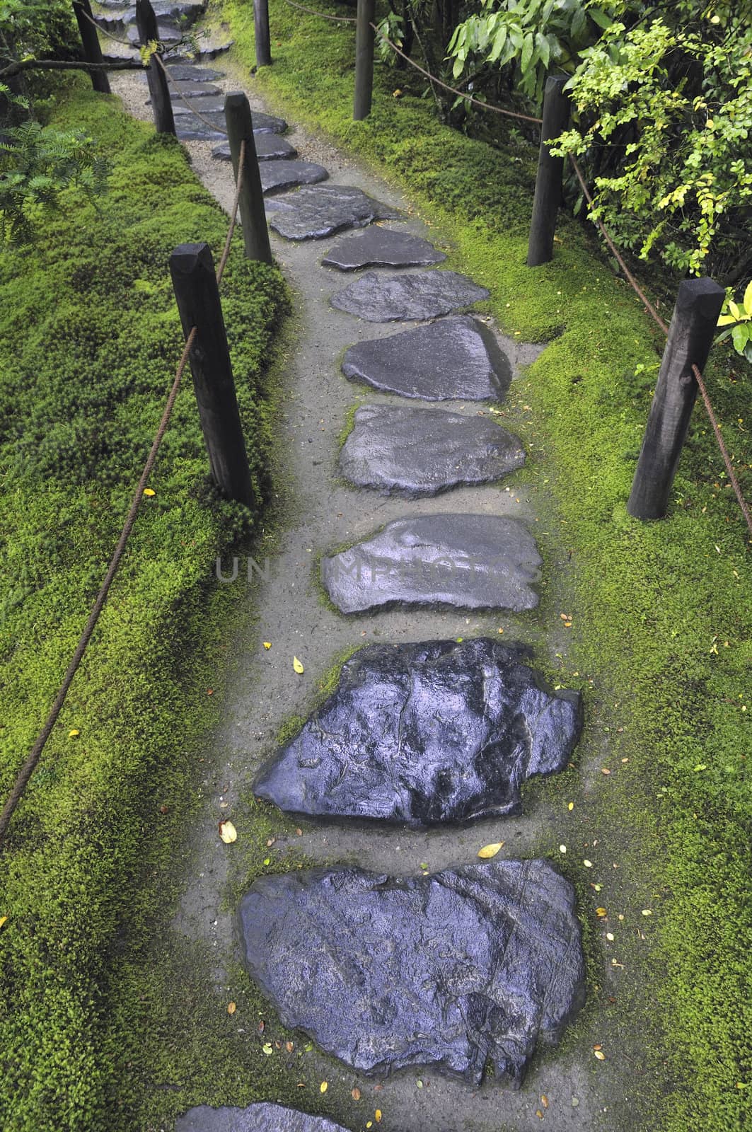 wet stone pathway by yuriz