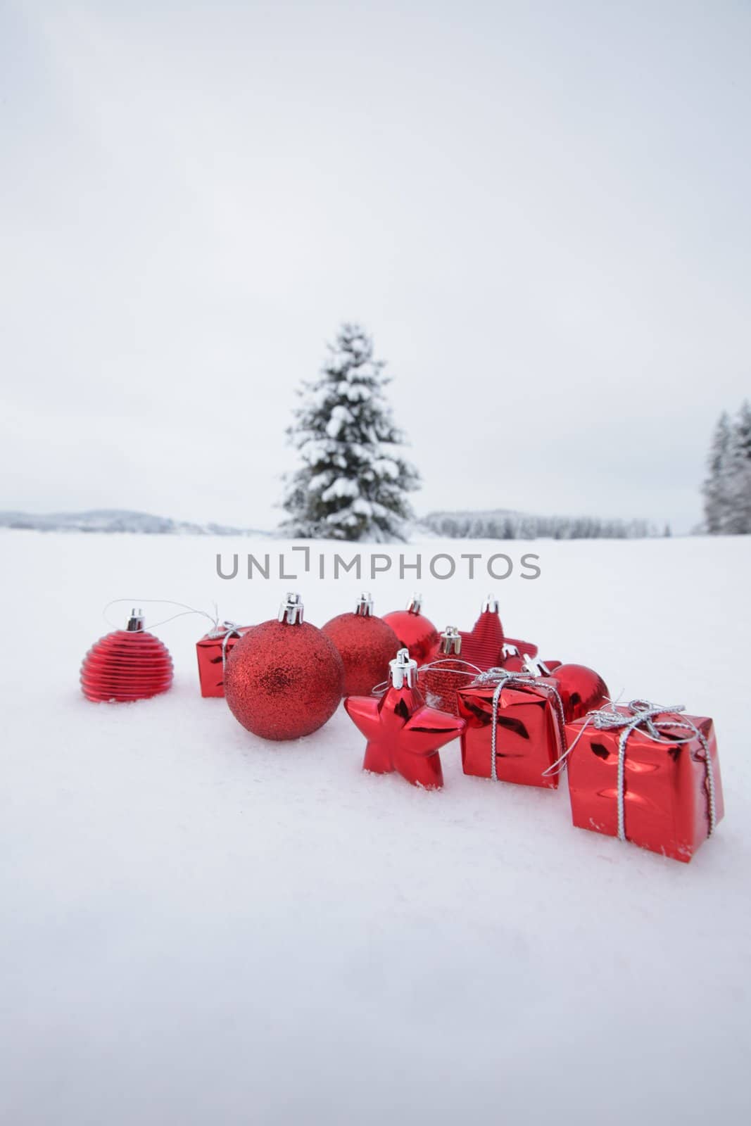 Christmas decoration snowy landscape by yucas