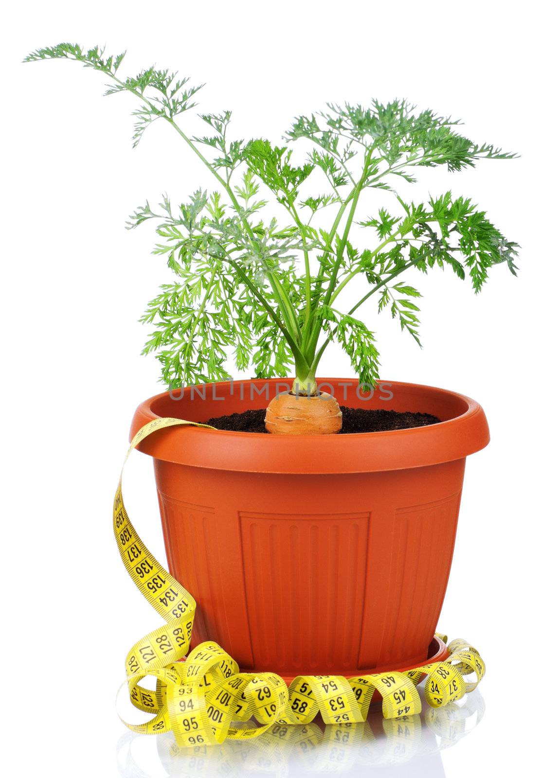 Carrot in plastic pot by fotostok_pdv