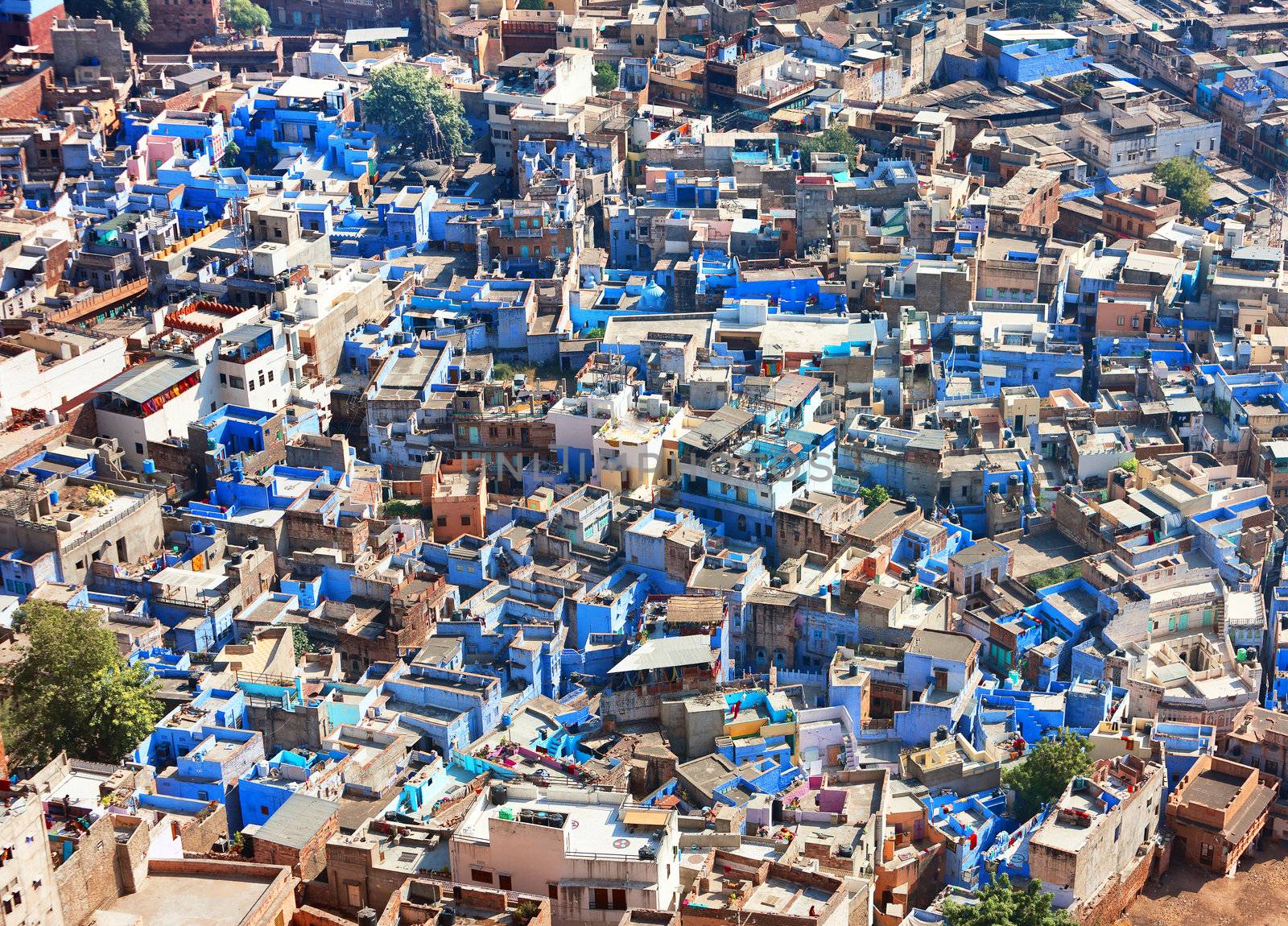 A view of Jodhpur, the Blue City of Rajasthan, India
