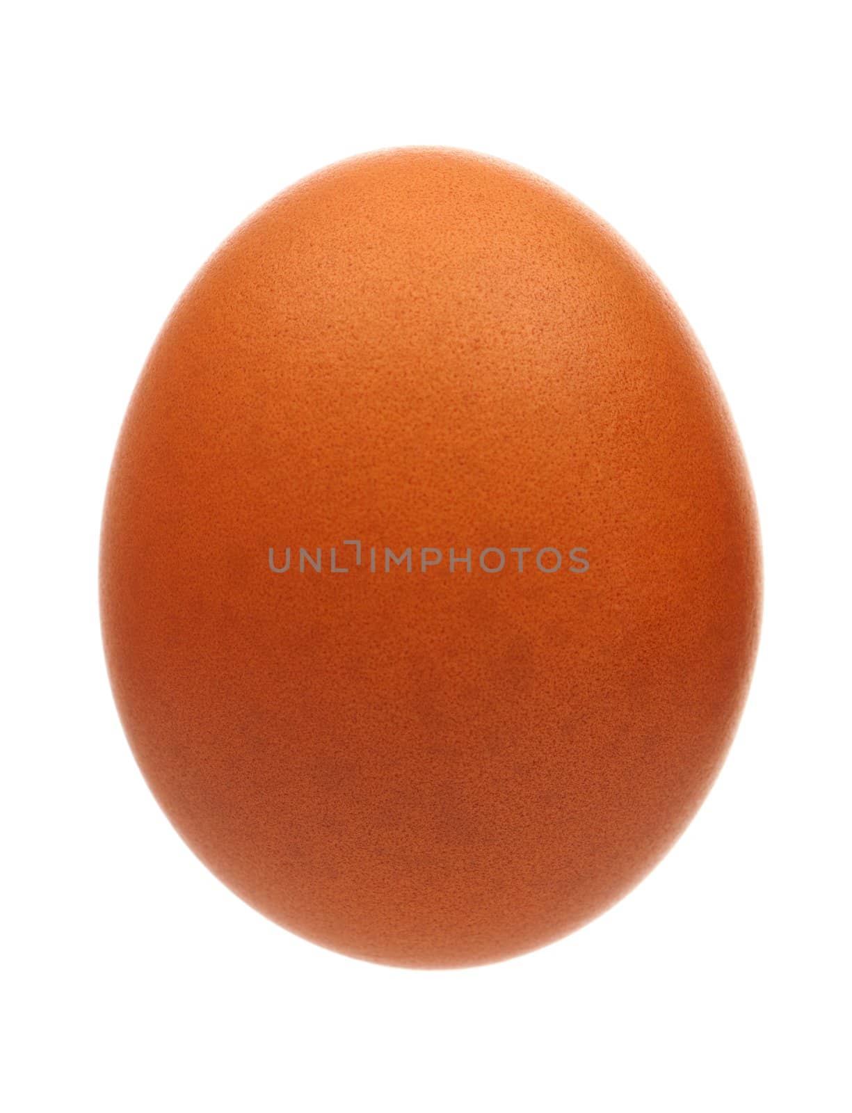 Fresh chicken egg isolated on white background