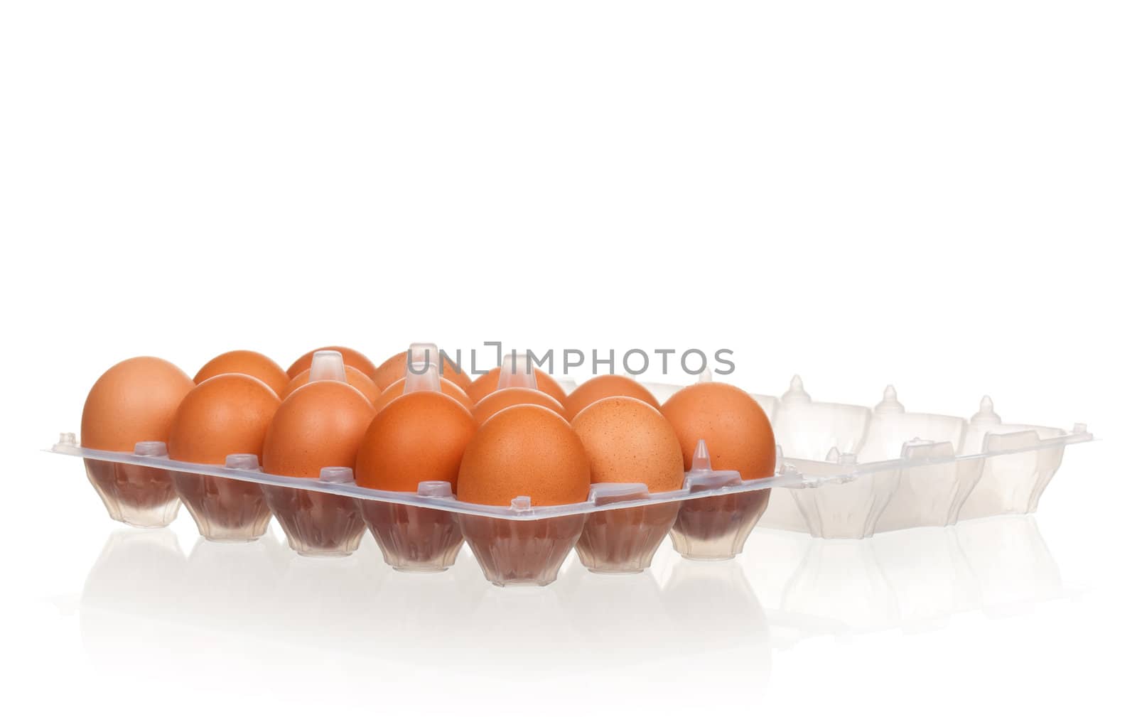 Brown eggs in the plastic box over white background