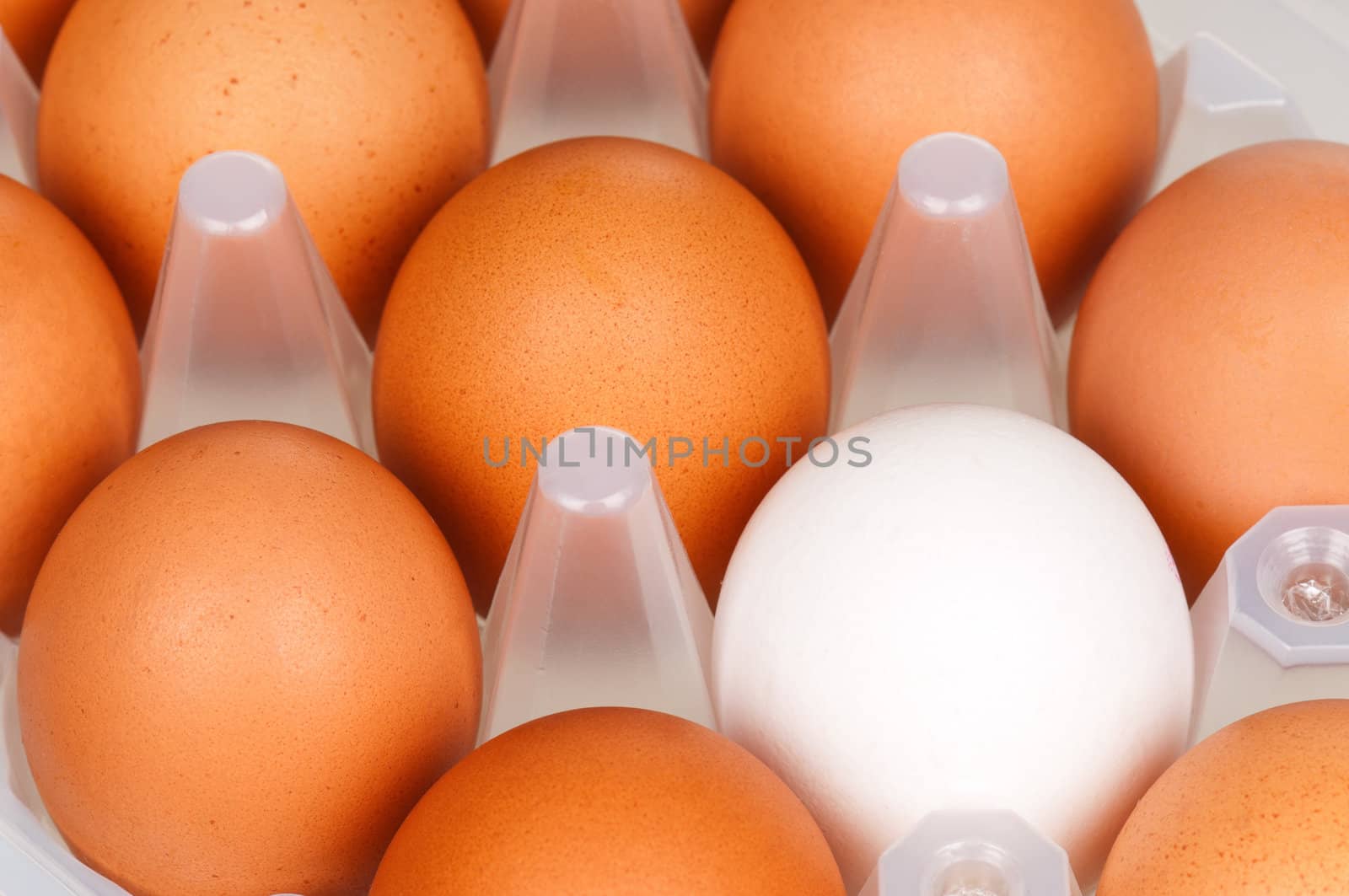 Close-up of brown and white eggs in the plastic box