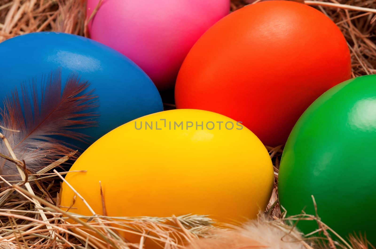 Eggs in nest by fotostok_pdv