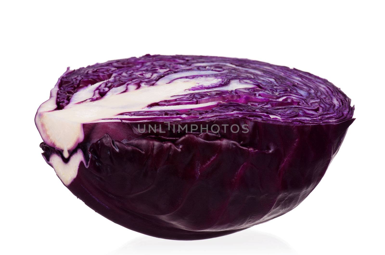 Fresh red cabbage vegetable on white background