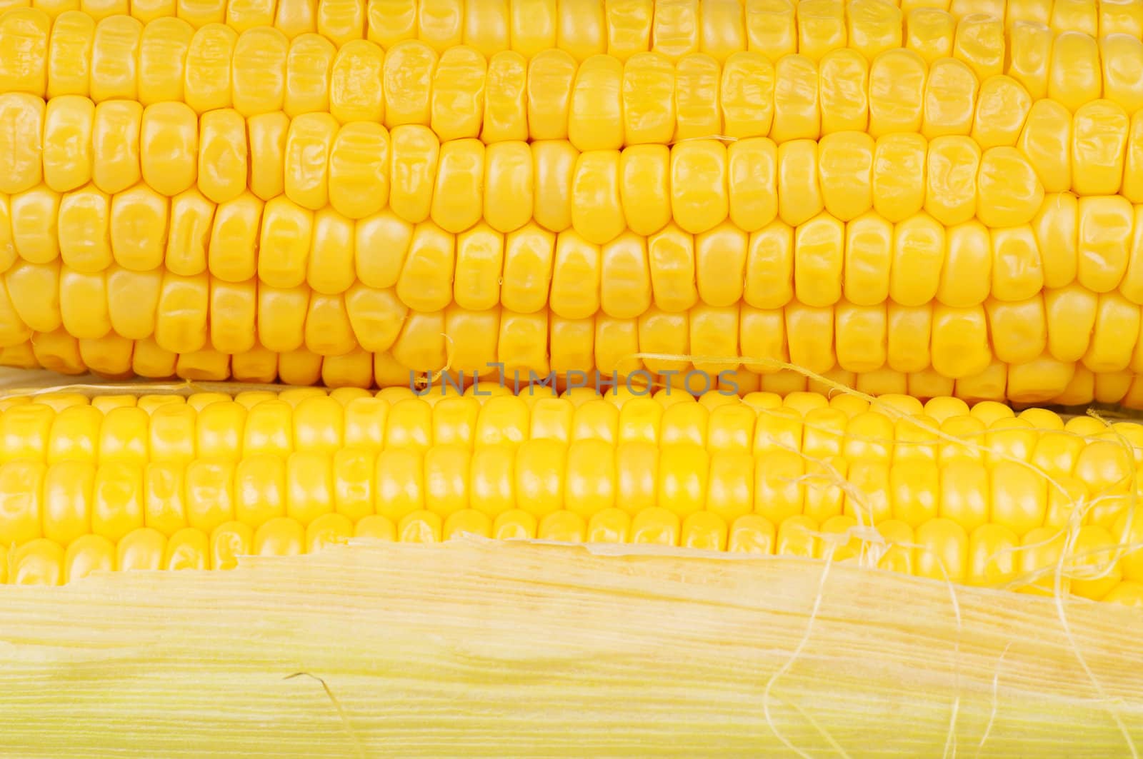 Fresh corn by fotostok_pdv