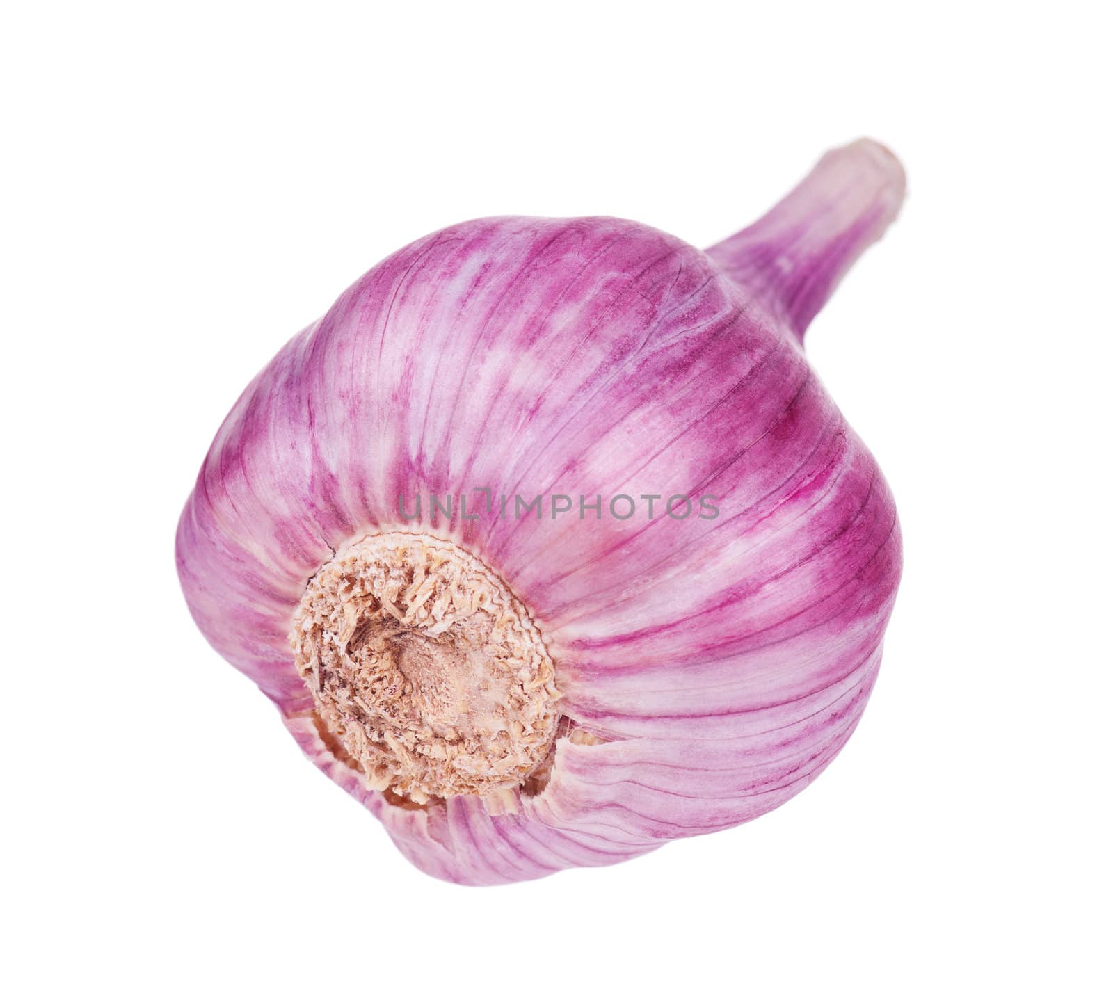 Fresh young garlic isolated on white background