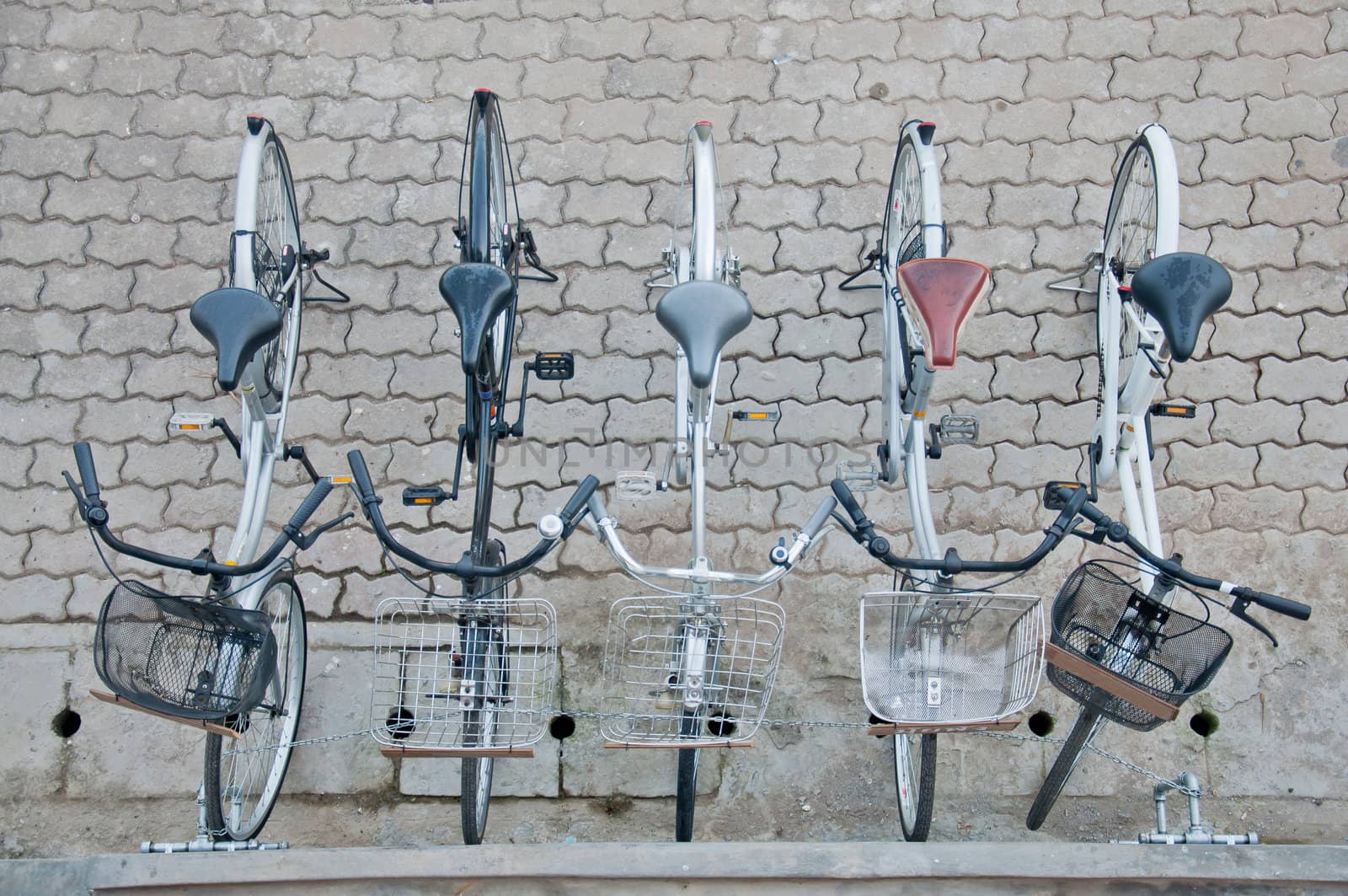 The bicycles in the park.