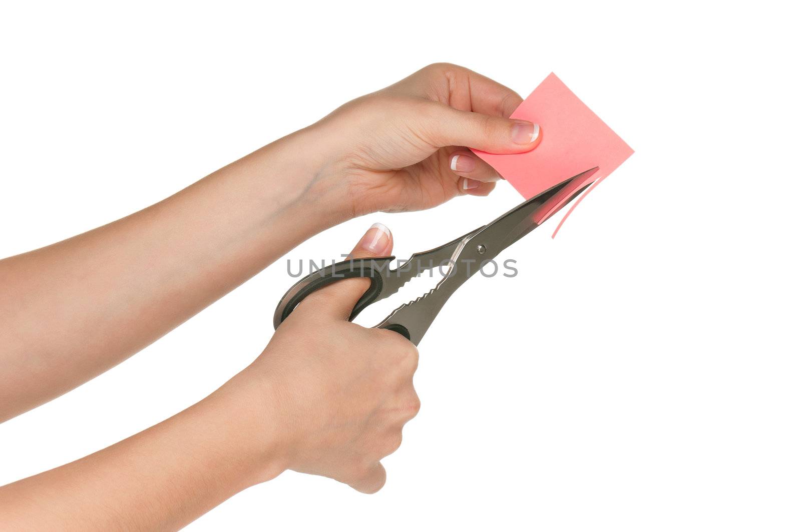 Woman hands with scissors isolated on white background