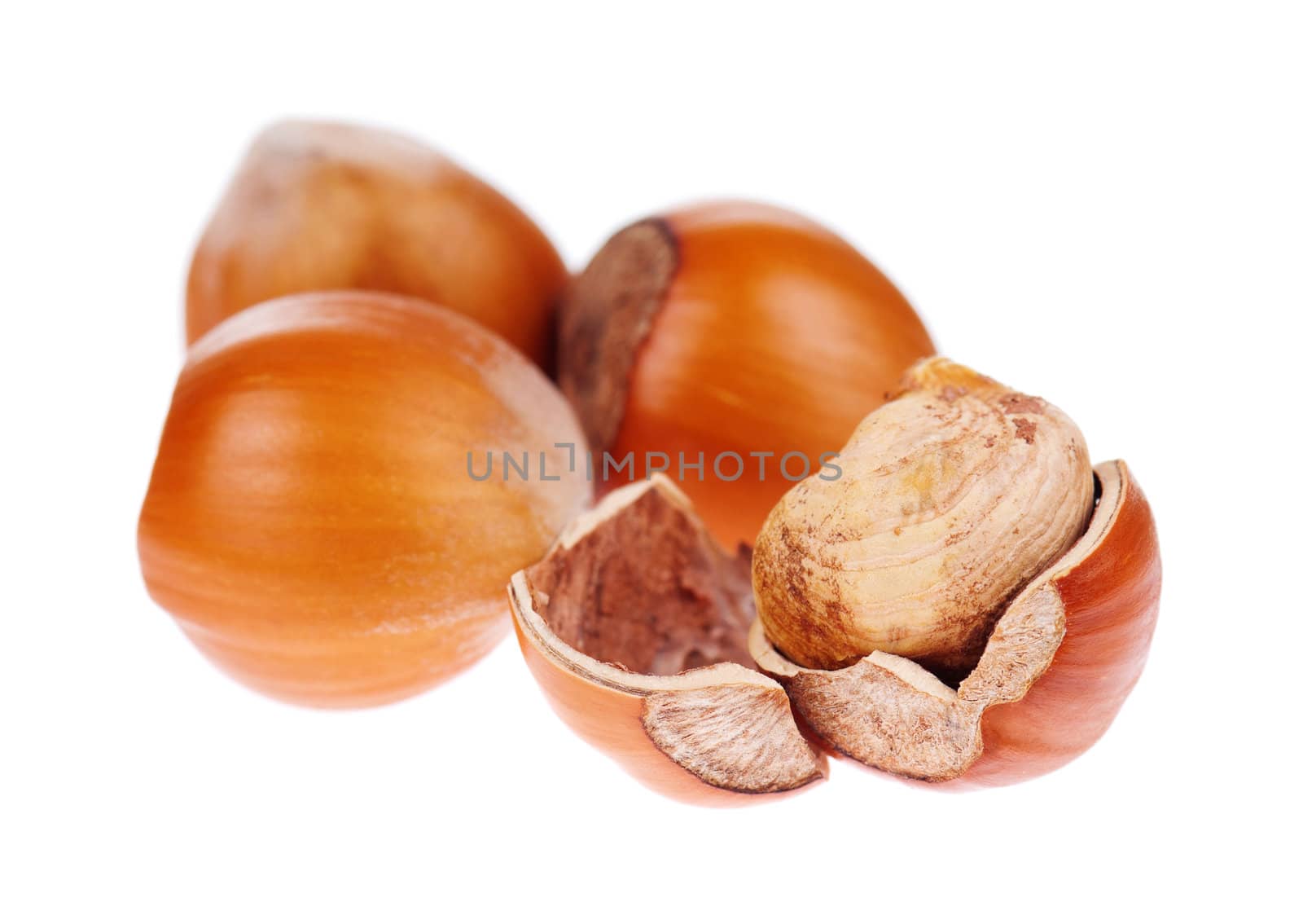 Hazelnut by fotostok_pdv