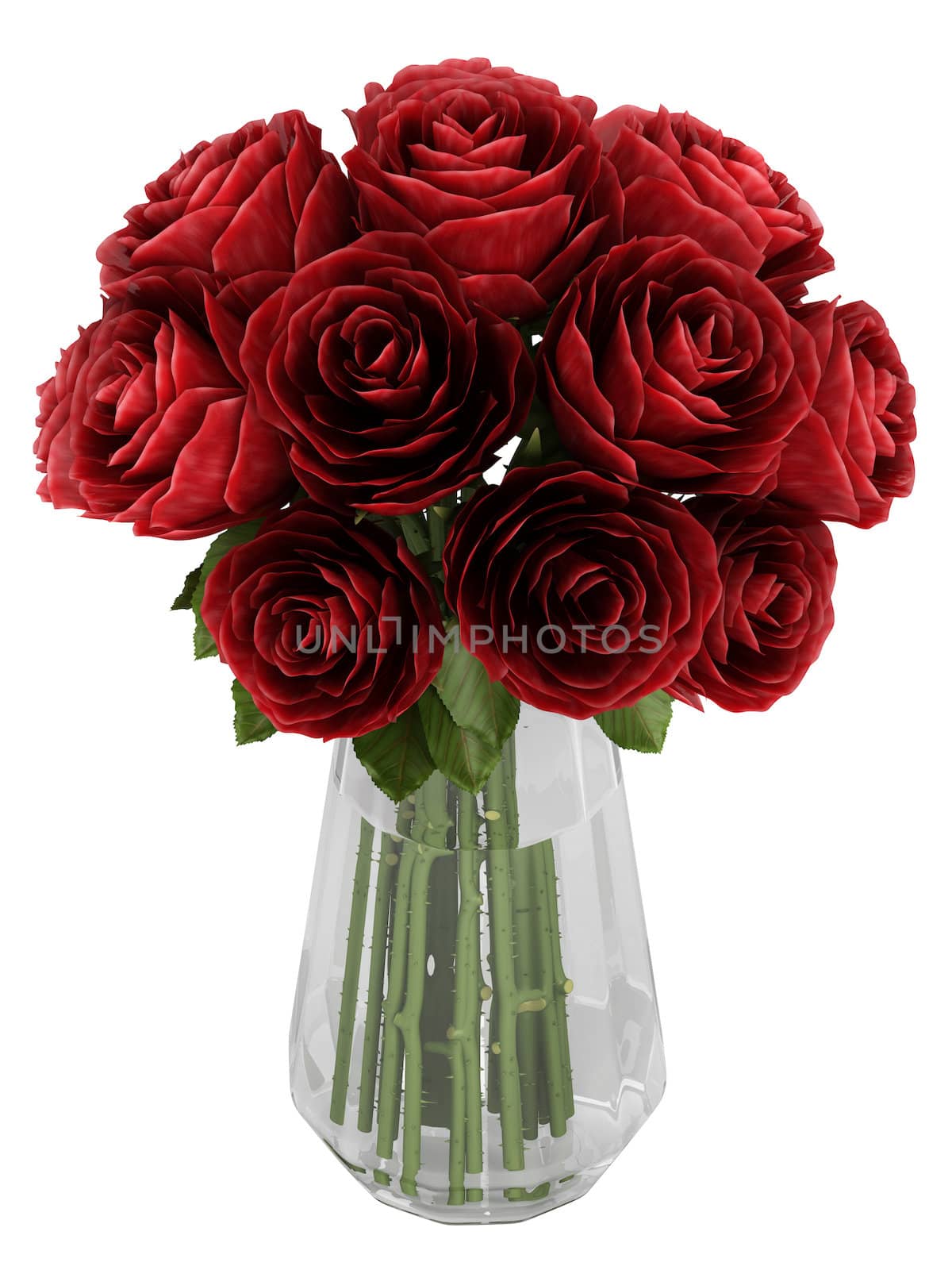 Vase of deep burgundy red roses by AlexanderMorozov