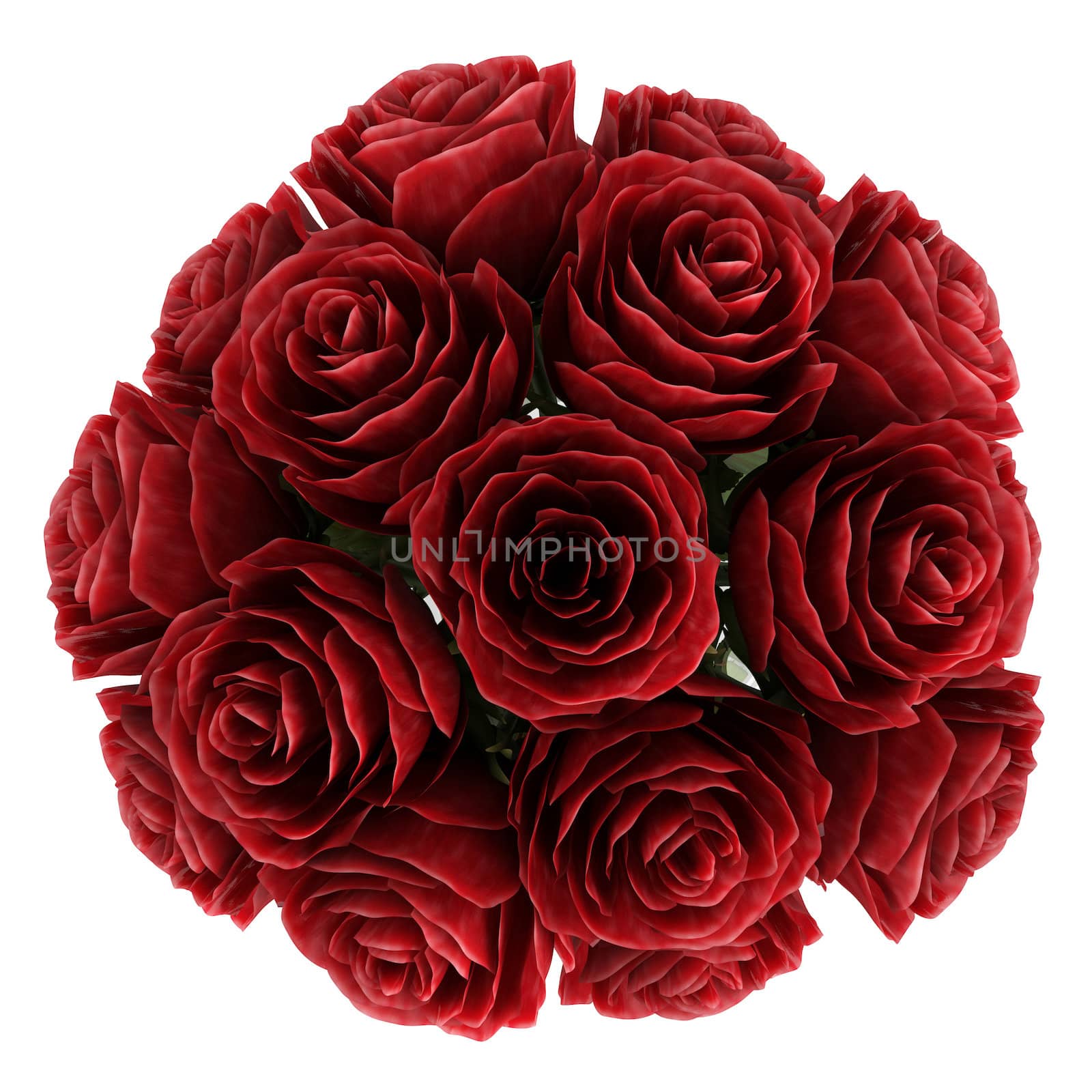 Vase of romantic deep burgundy red roses symbolising love for Valentines day, anniversary or a wedding isolated on white