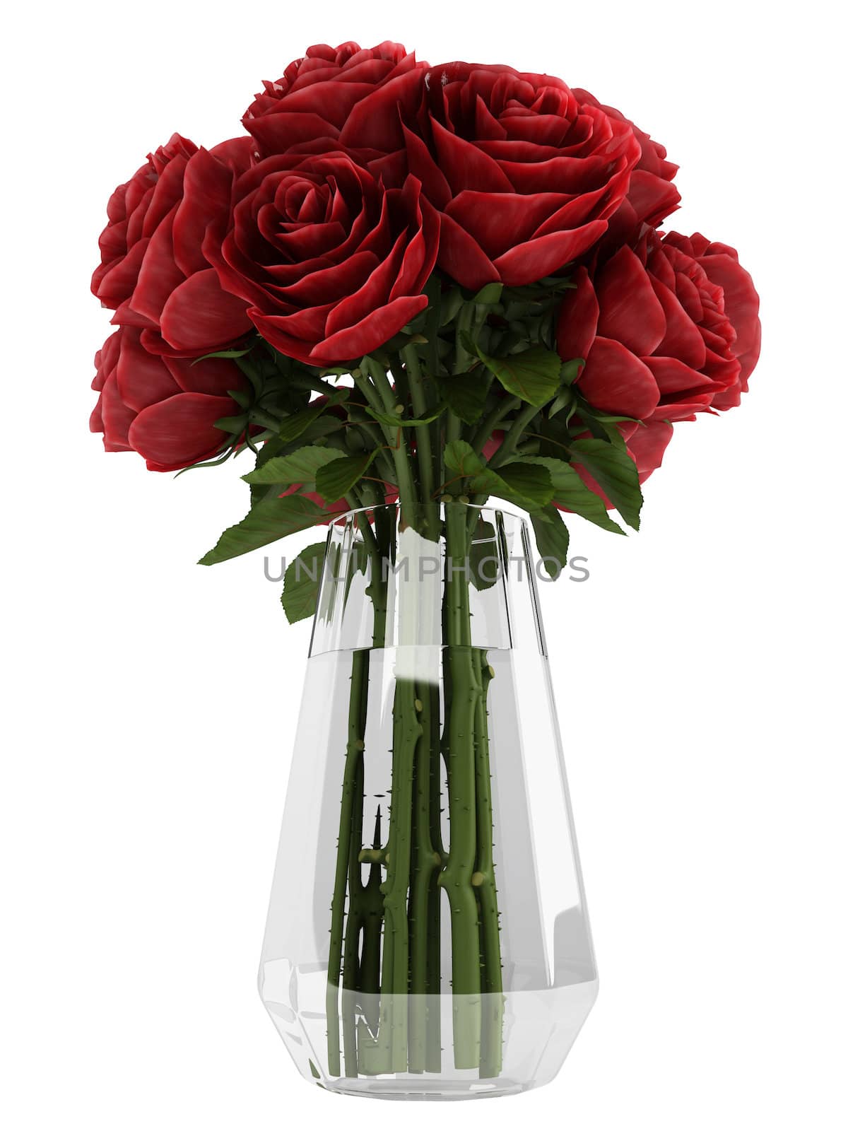 Vase of deep burgundy red roses by AlexanderMorozov