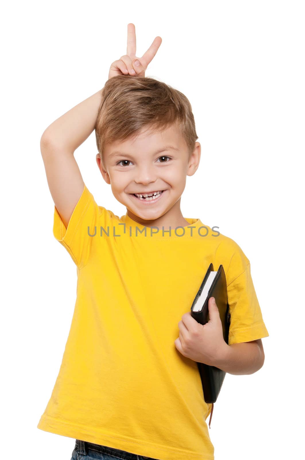 Portrait of little schoolboy holding book on white background