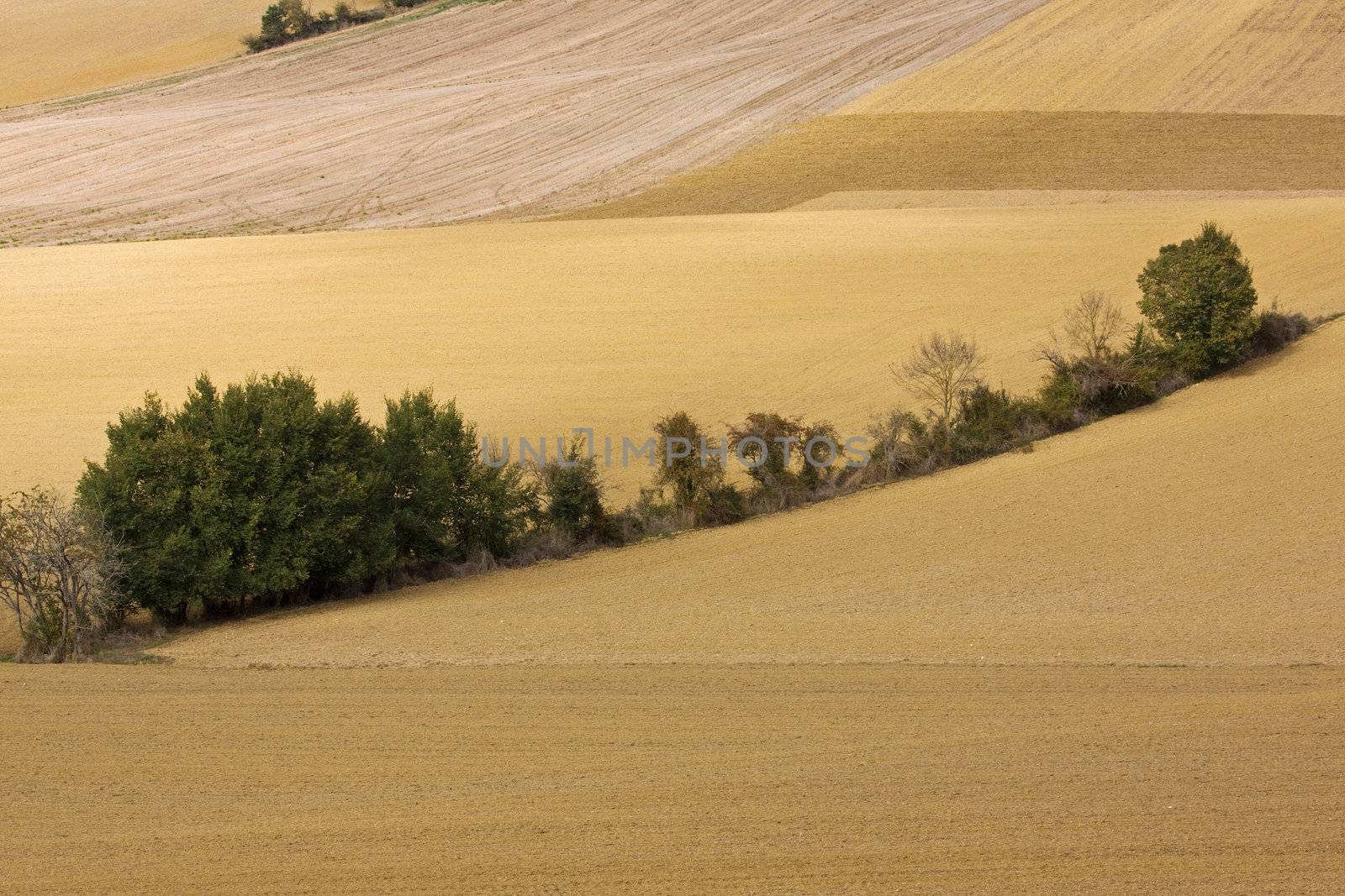 French Rural Landscape in Autumn 2 by pjhpix