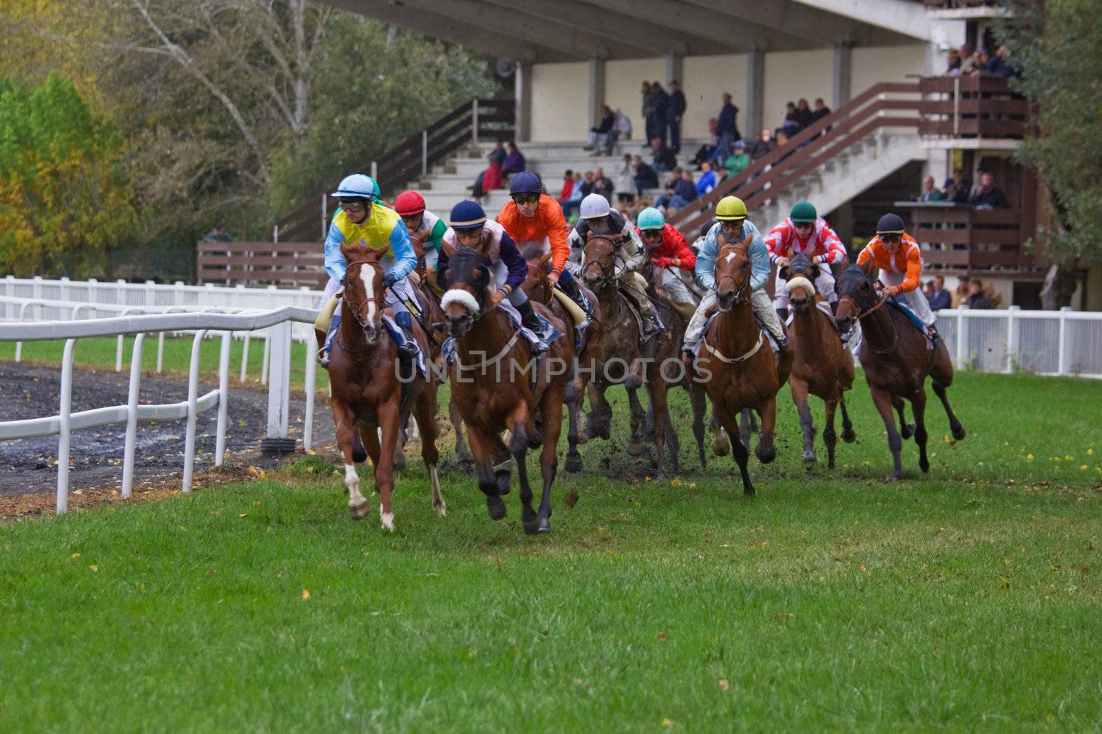 Horse Racing in France 1 by pjhpix