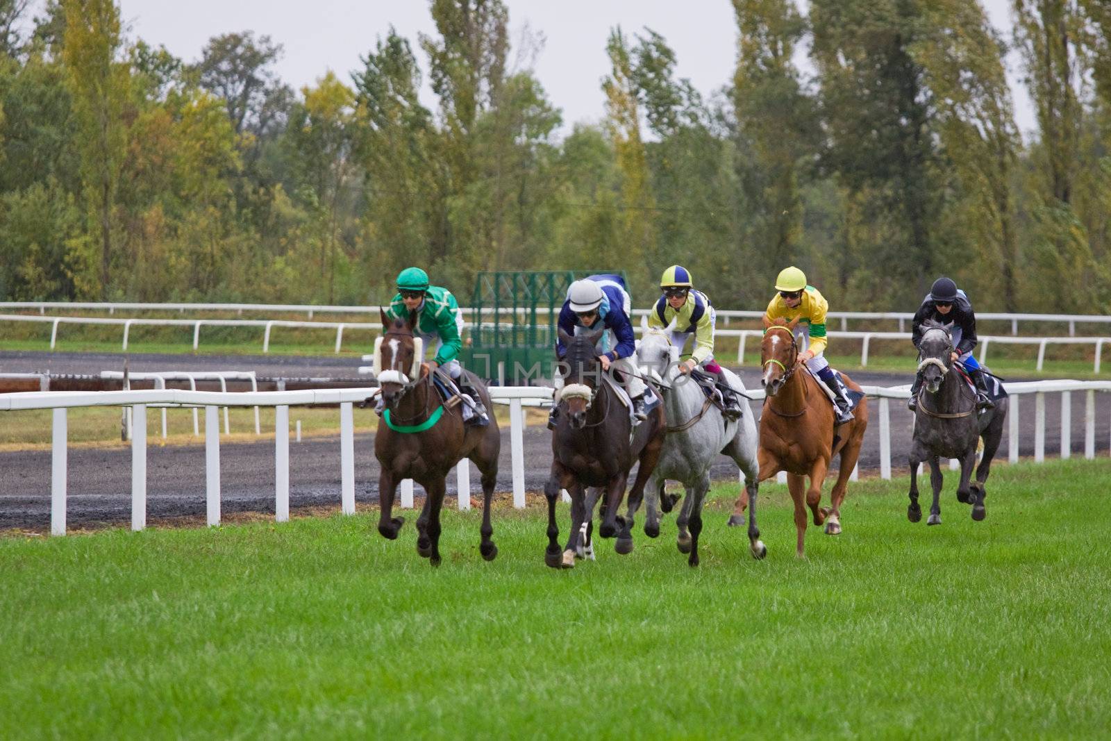 CASTERA-VERDUZAN, FRANCE - OCTOBER 4: The leaders in the home straight in a race at the Baron hippodrome Castera Verduzan, France on October 4, 2010