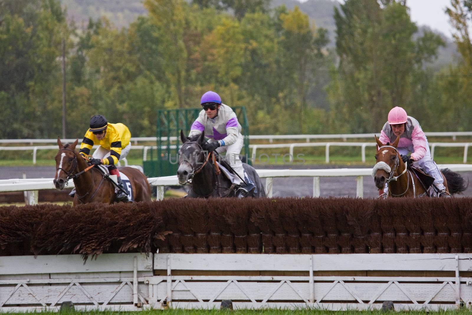 Horse Racing in France 5 by pjhpix