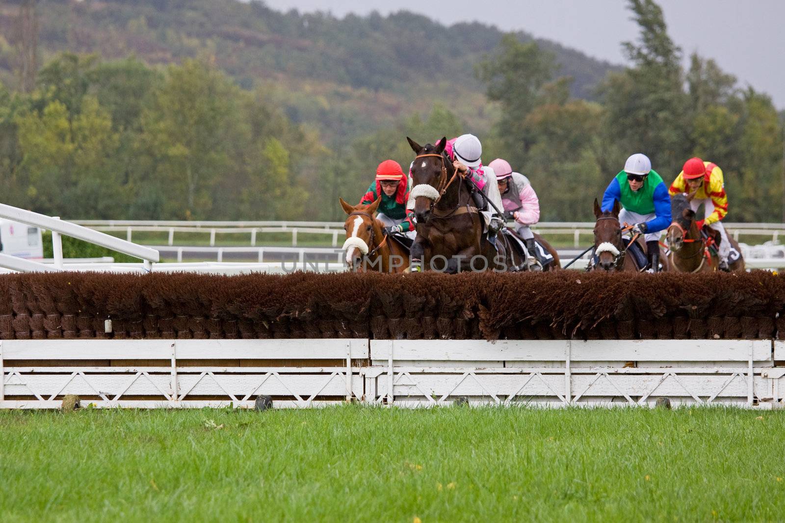 Horse Racing in France 7 by pjhpix