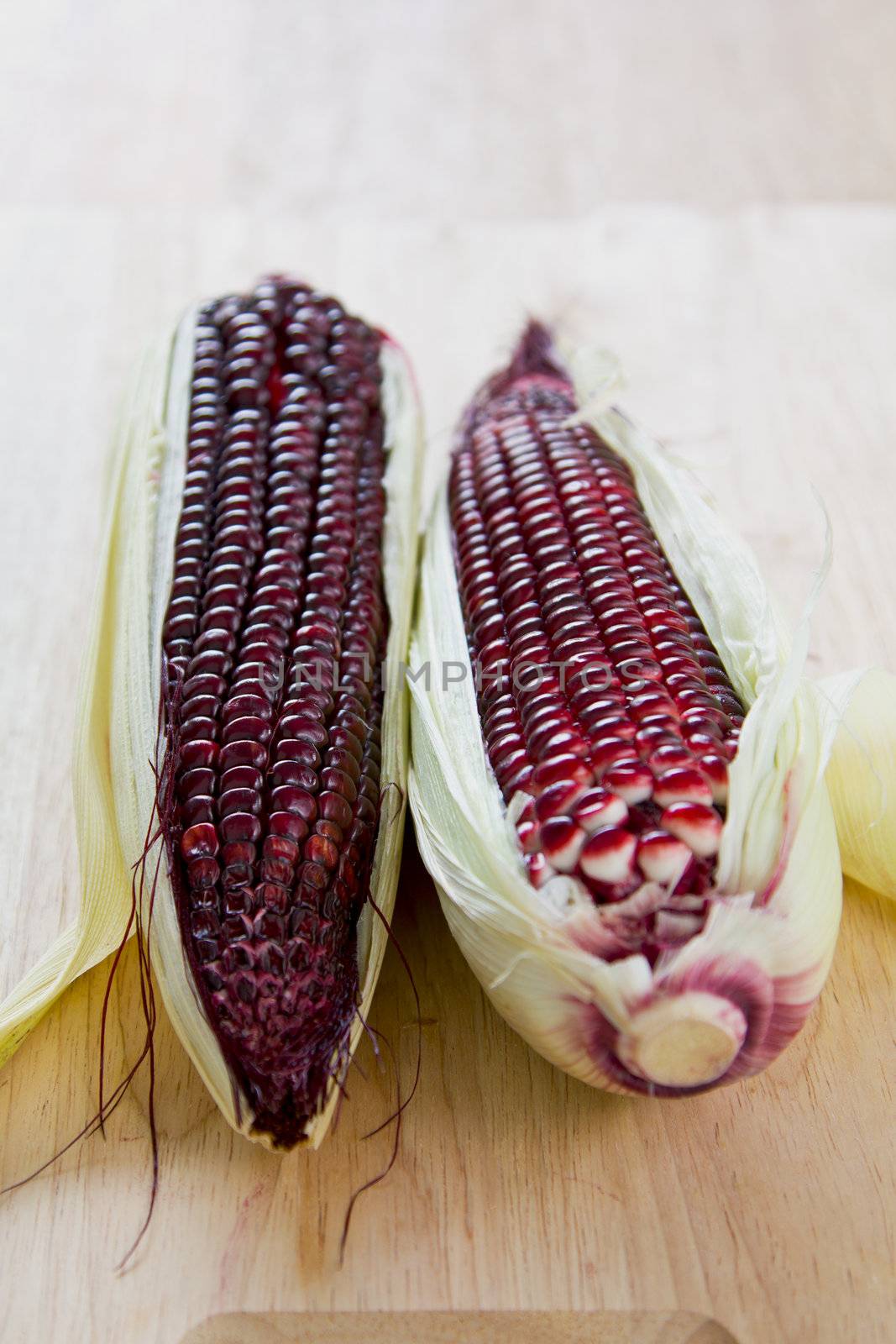 Fresh uncooked purple corn