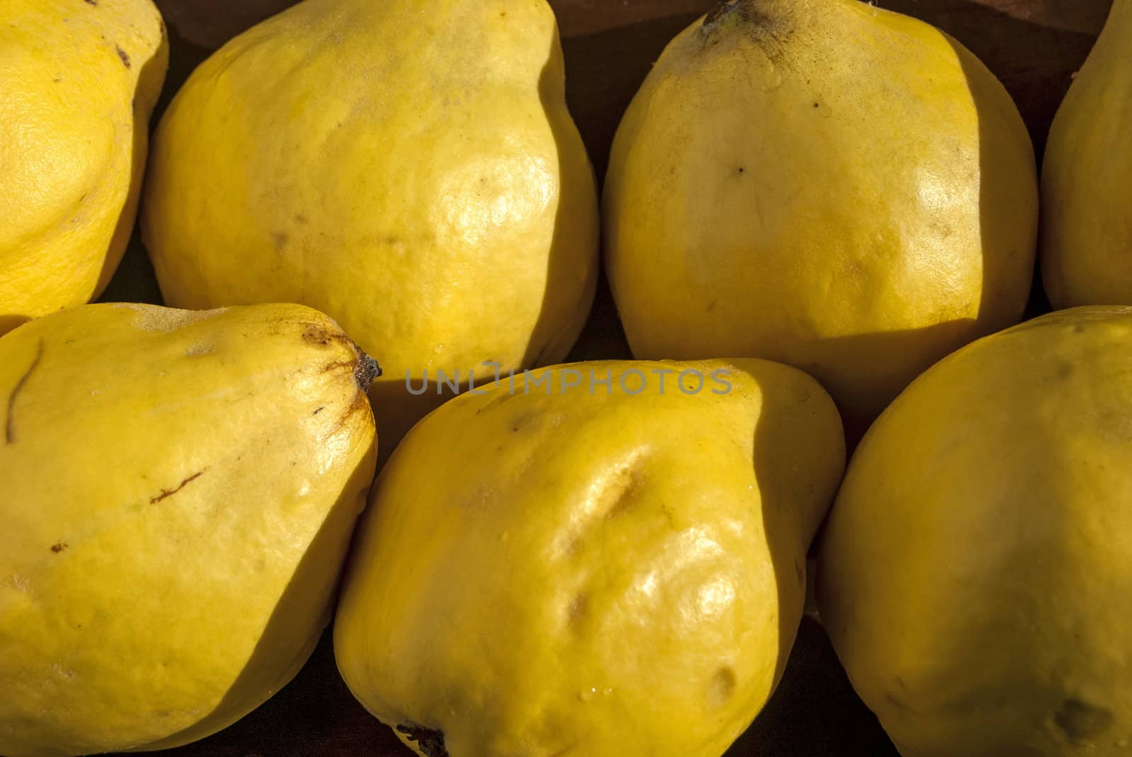Organic quinces in wooden bowl as background