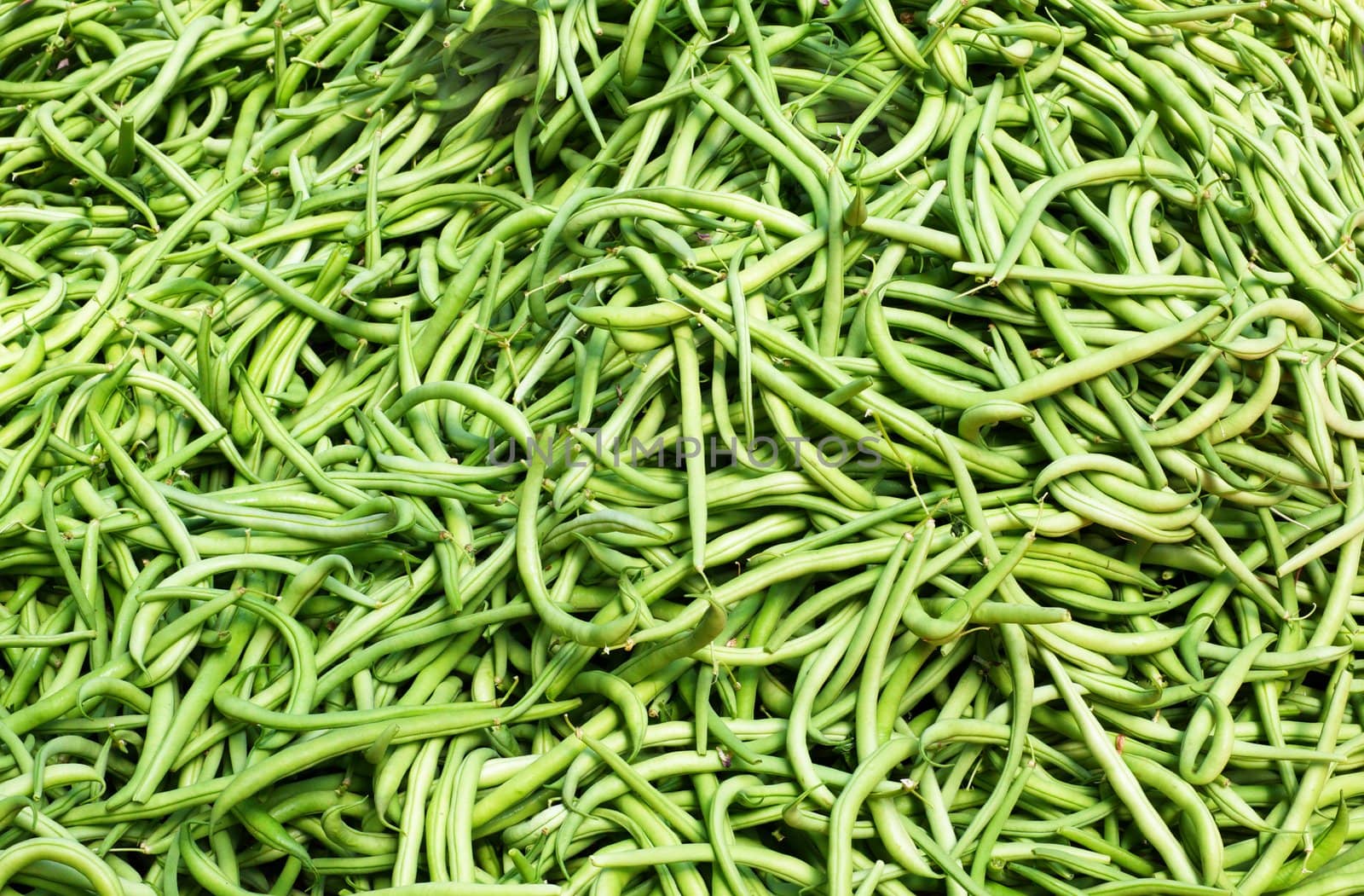 Big pile of Green string Beans at the farmers market