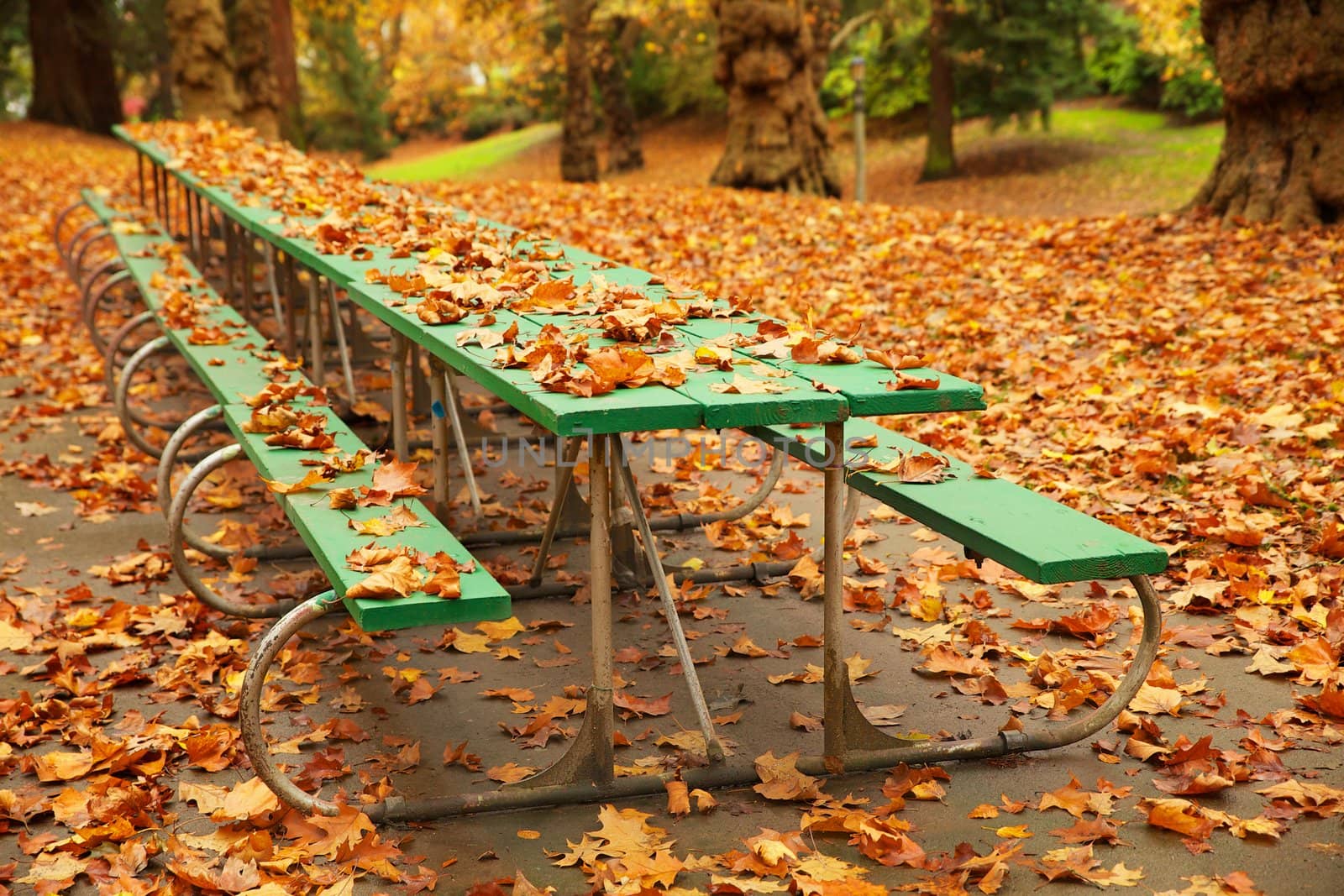 Long autumn green picnic table covered with fall leaves in a park