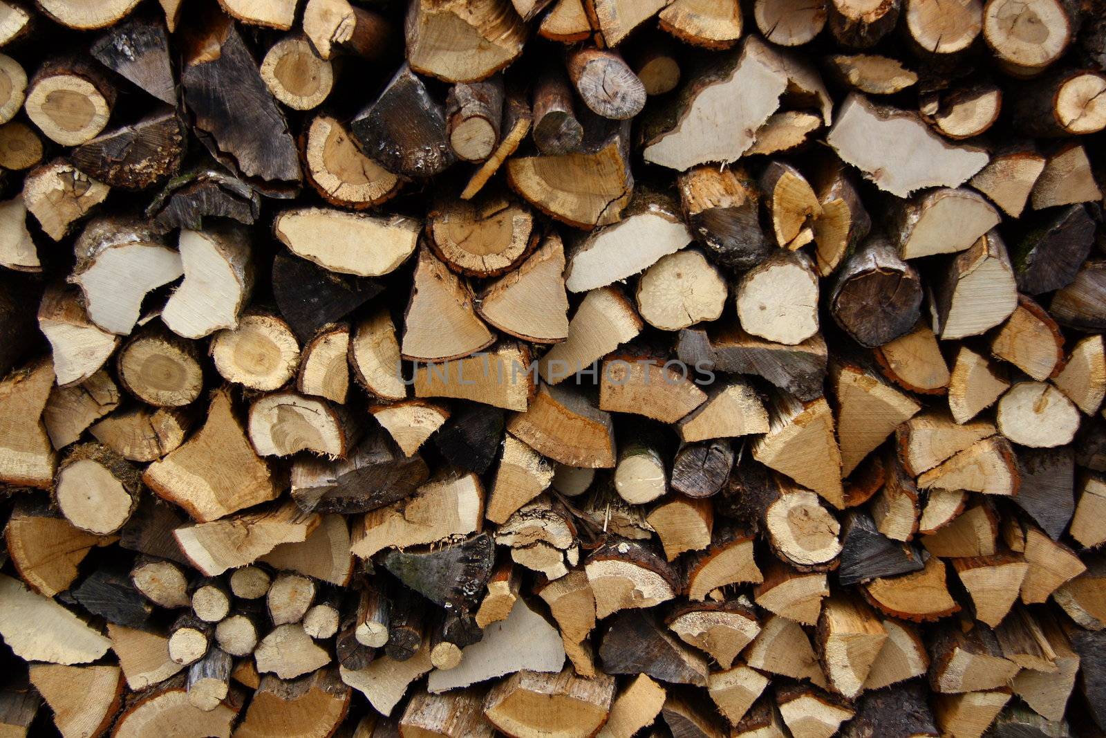 woods placed for winter using for fire