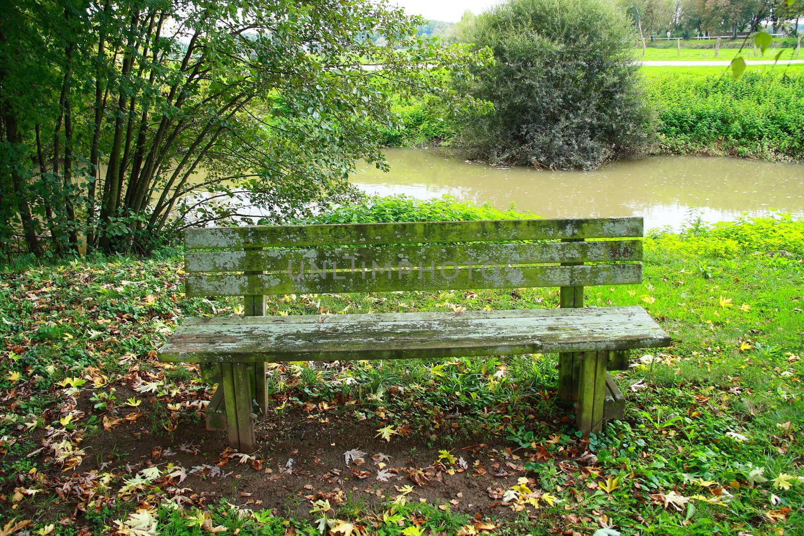 bench with moss on in Scey Sur Saone
