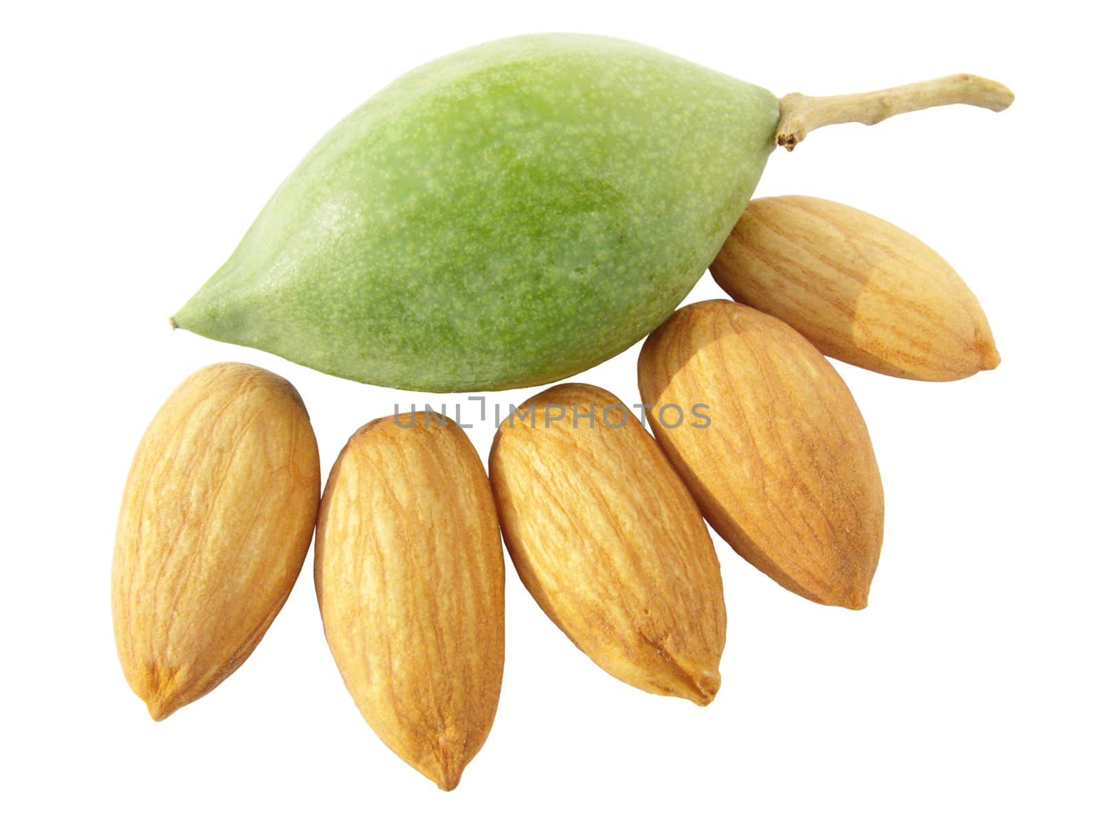 whole raw green almond with almond nuts by lkant