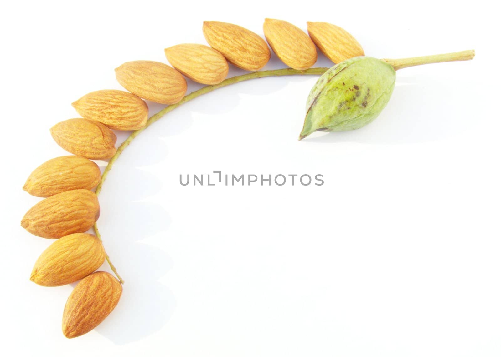 Image of whole almond nut isolated on white background