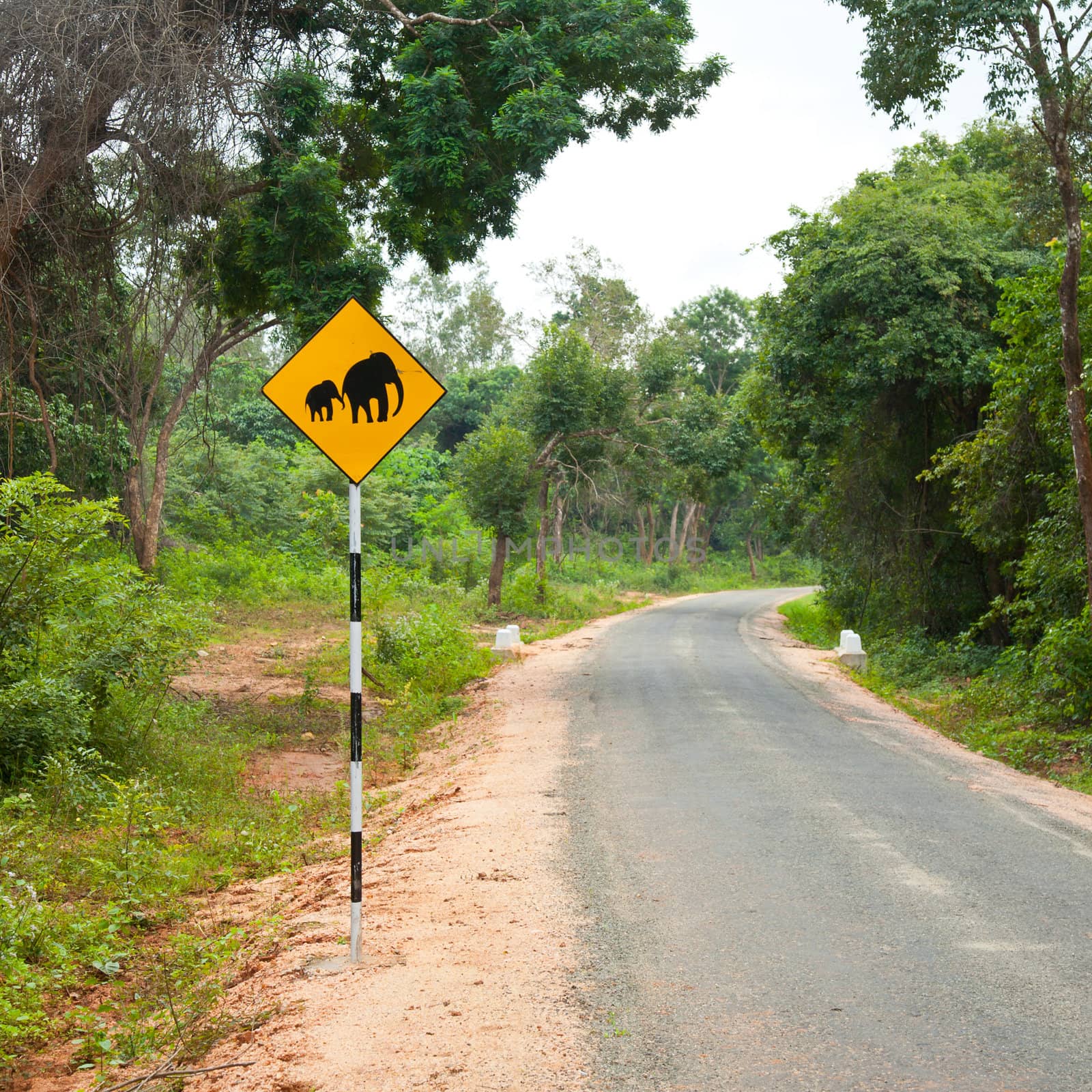 Elephants crossing the road sign in Sri Lanka