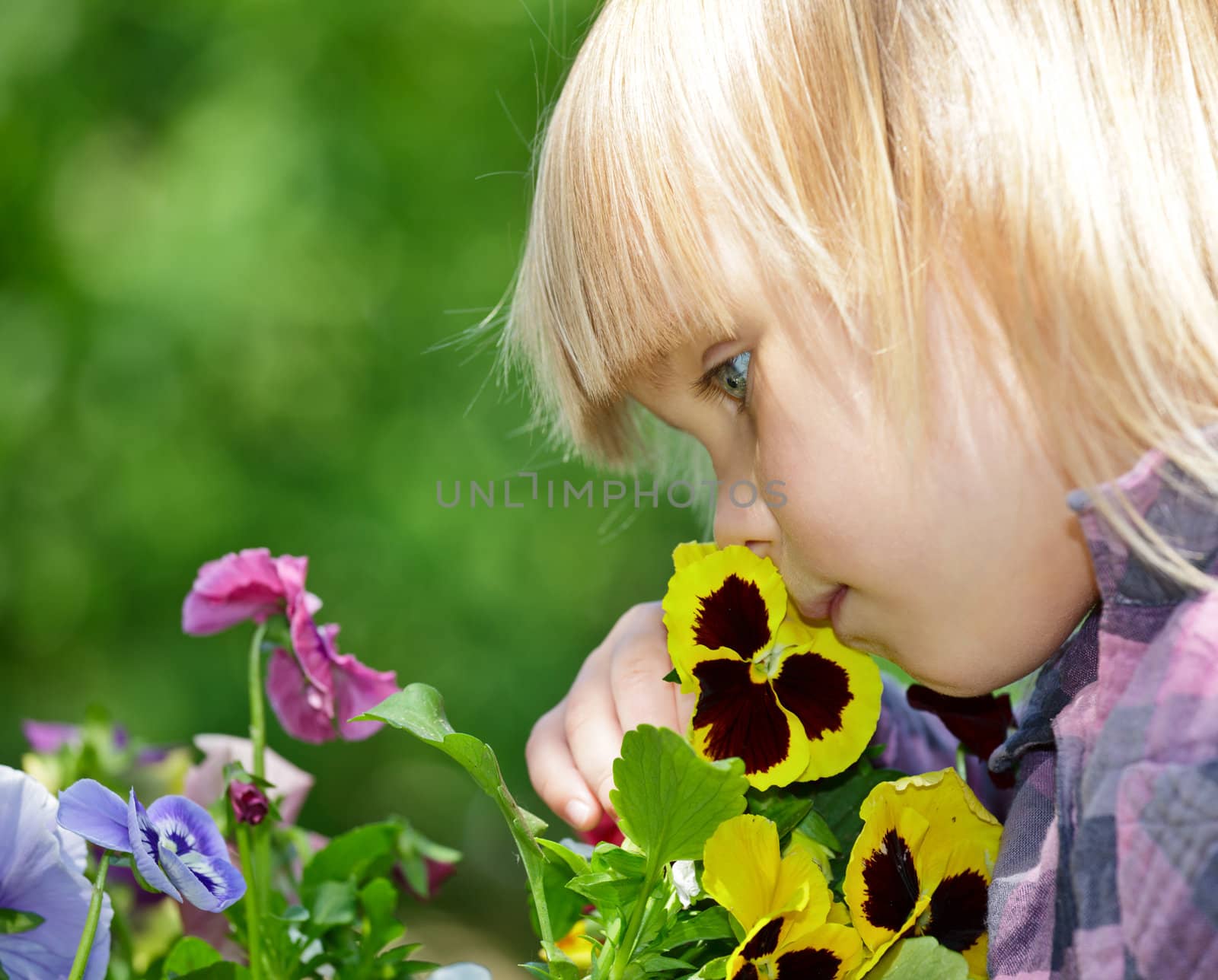 Little girl smelling flowers in a garden