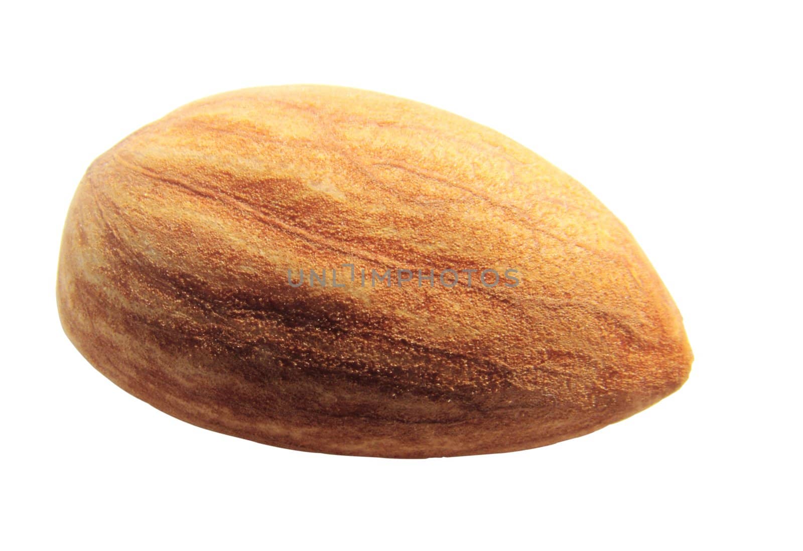 whole almond nut isolated on white  by lkant