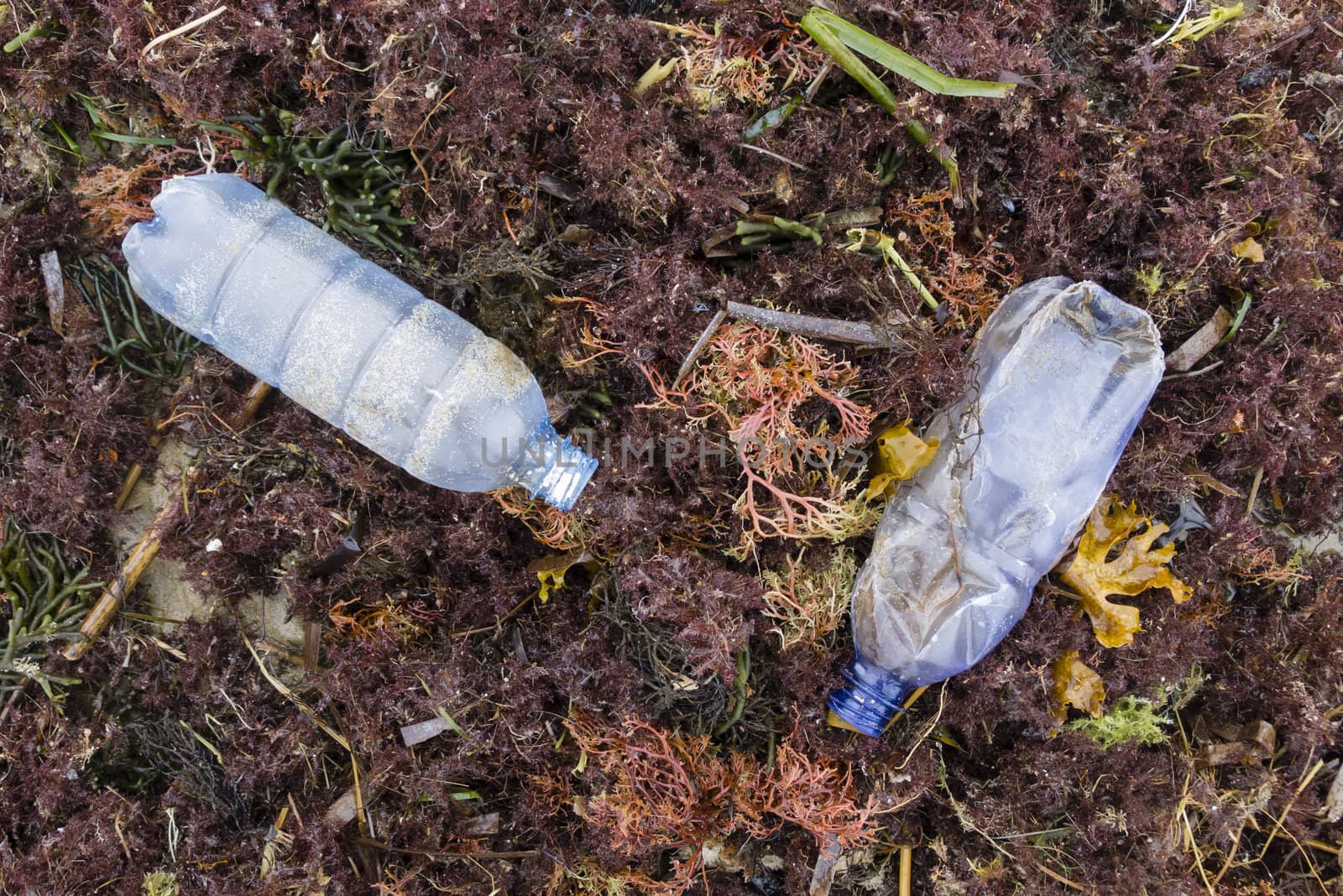 Plastic bottles abandoned on the beach