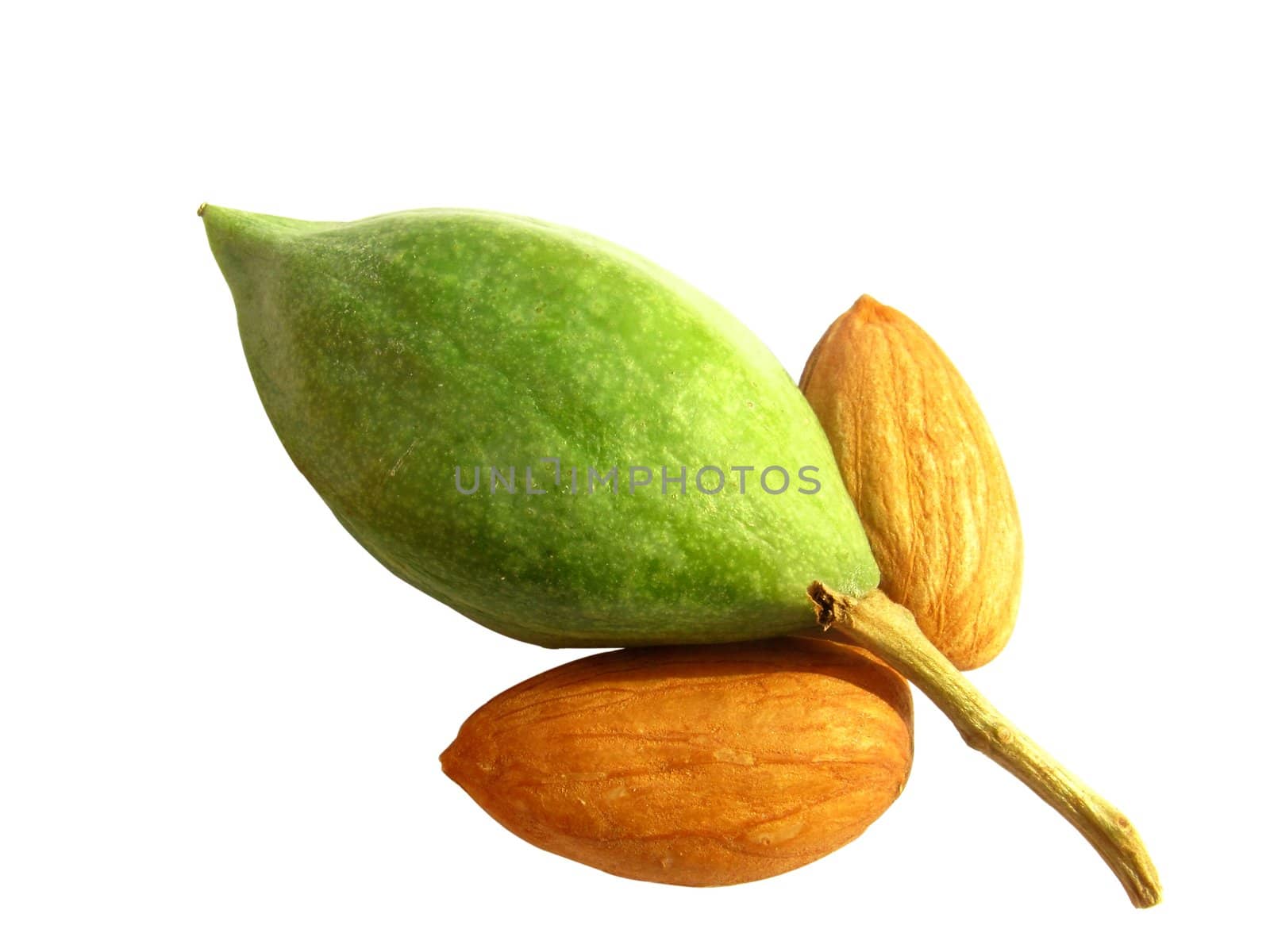 decorative arrangements of almond nuts with one raw green almond in middle 