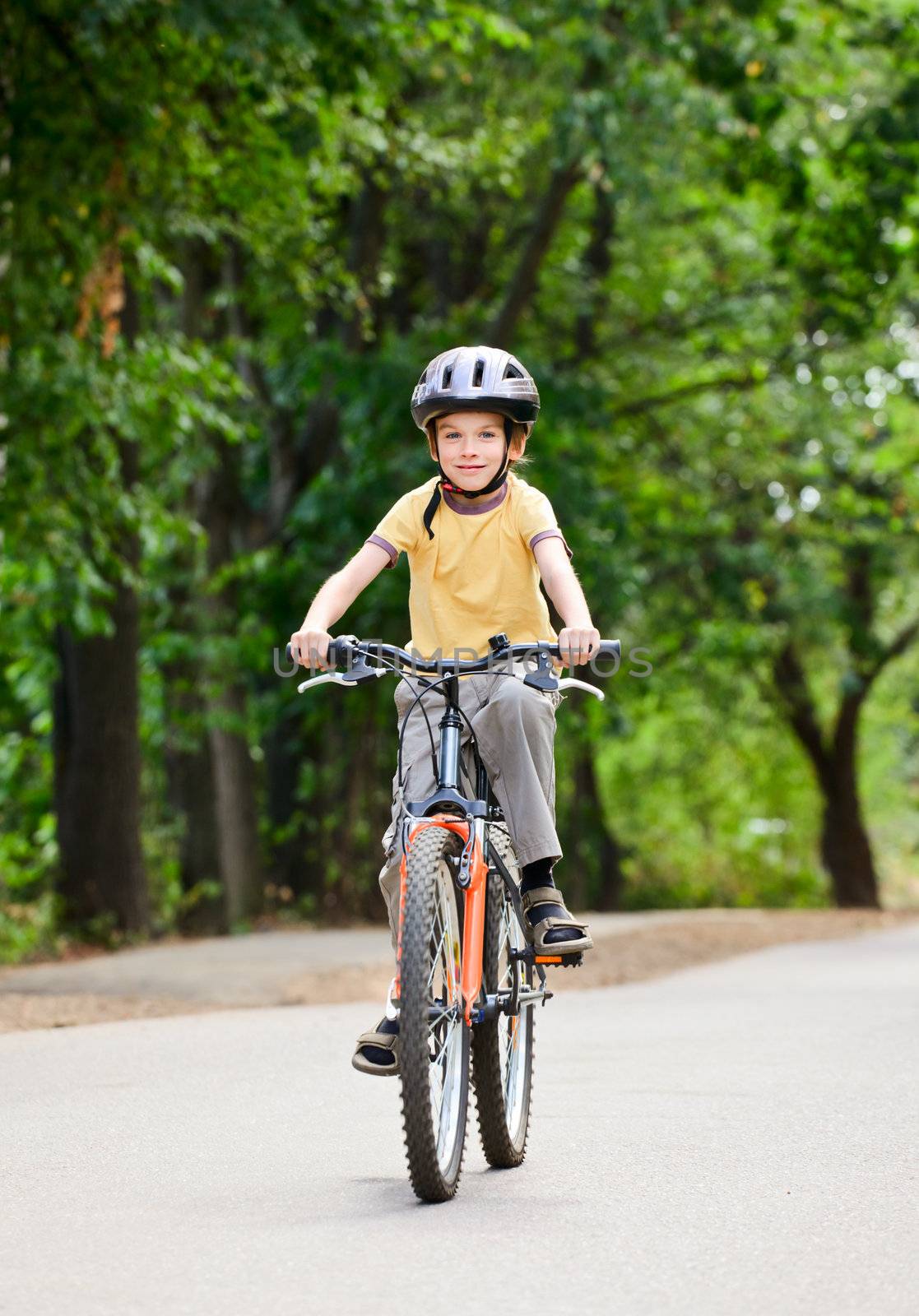 Young boy riding bicycle on a summer day