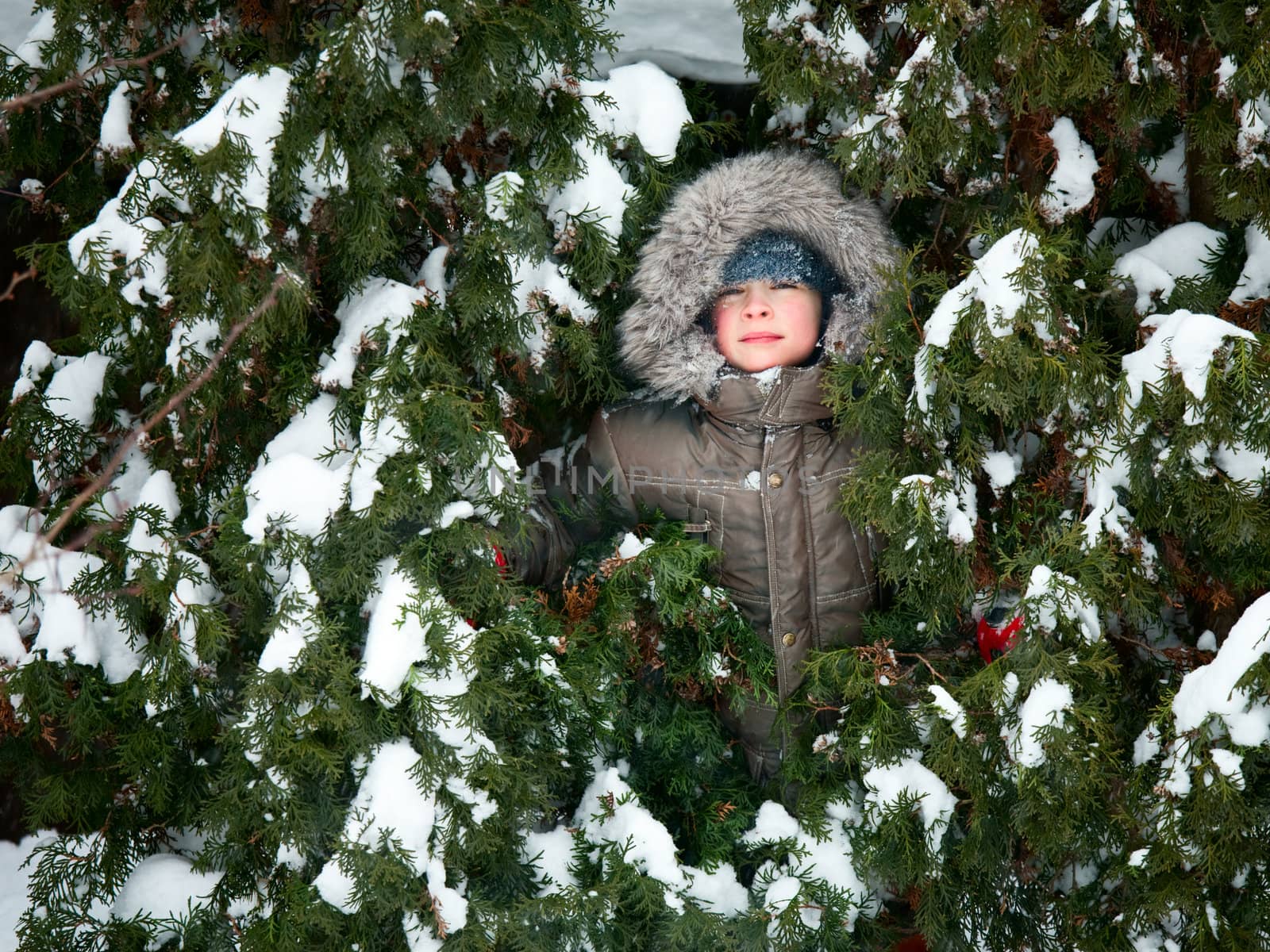 Kid hiding in fir trees by naumoid