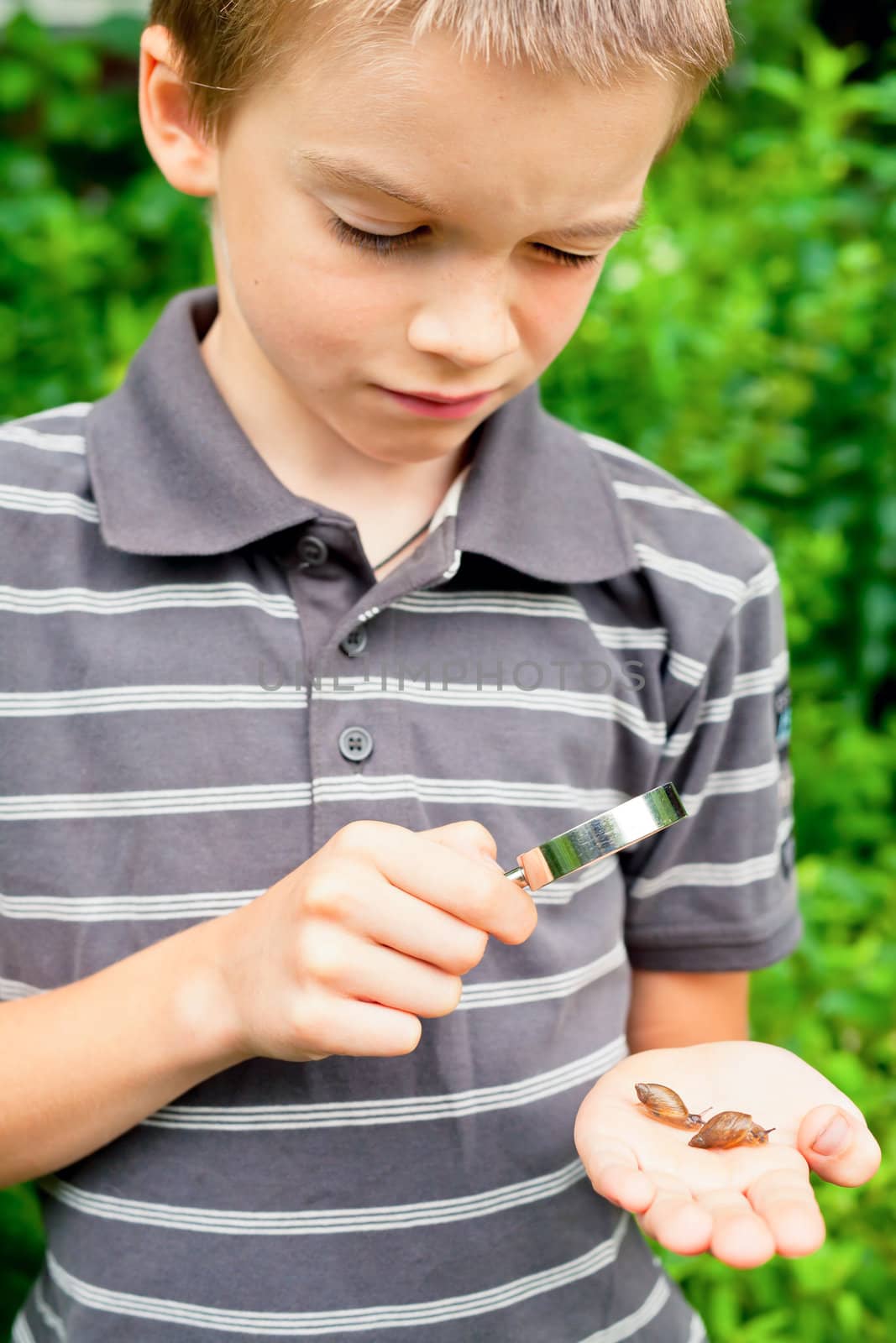Kid observing snails by naumoid