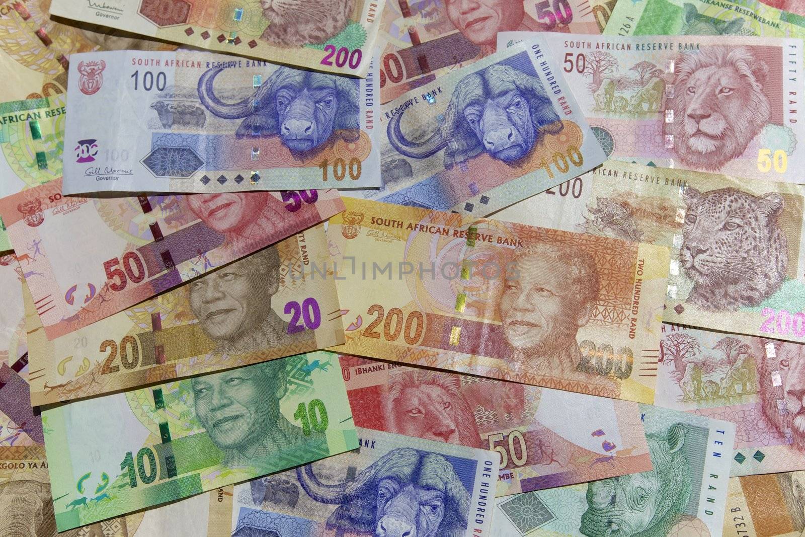 Money Notes - South Africa  by instinia