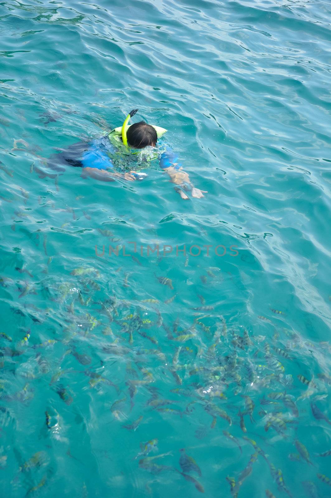 Traveler snorkeling take photo in clean ocean by tore2527