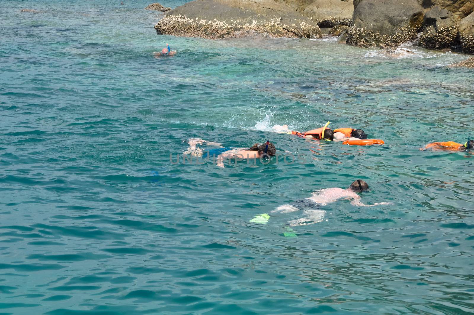 Active traveler diving snorkeling in beautiful clean ocean on summer vacation at Chang island, Thailand