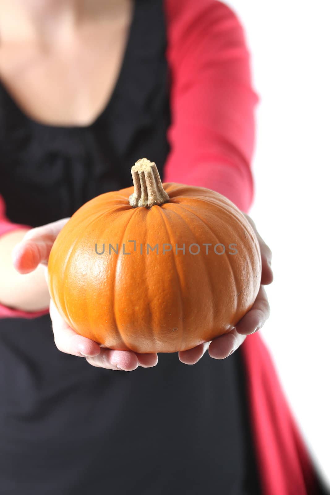 girl holding a pretty pumpkin by Teka77