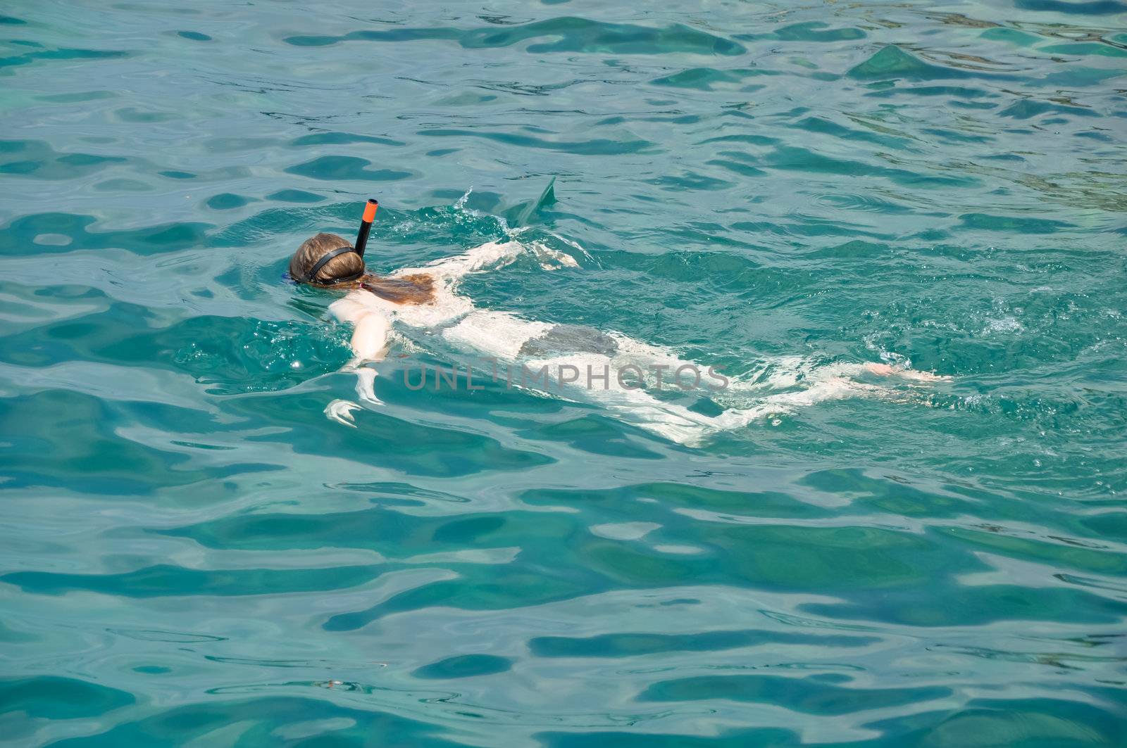 Woman snorkeling in clean ocean by tore2527