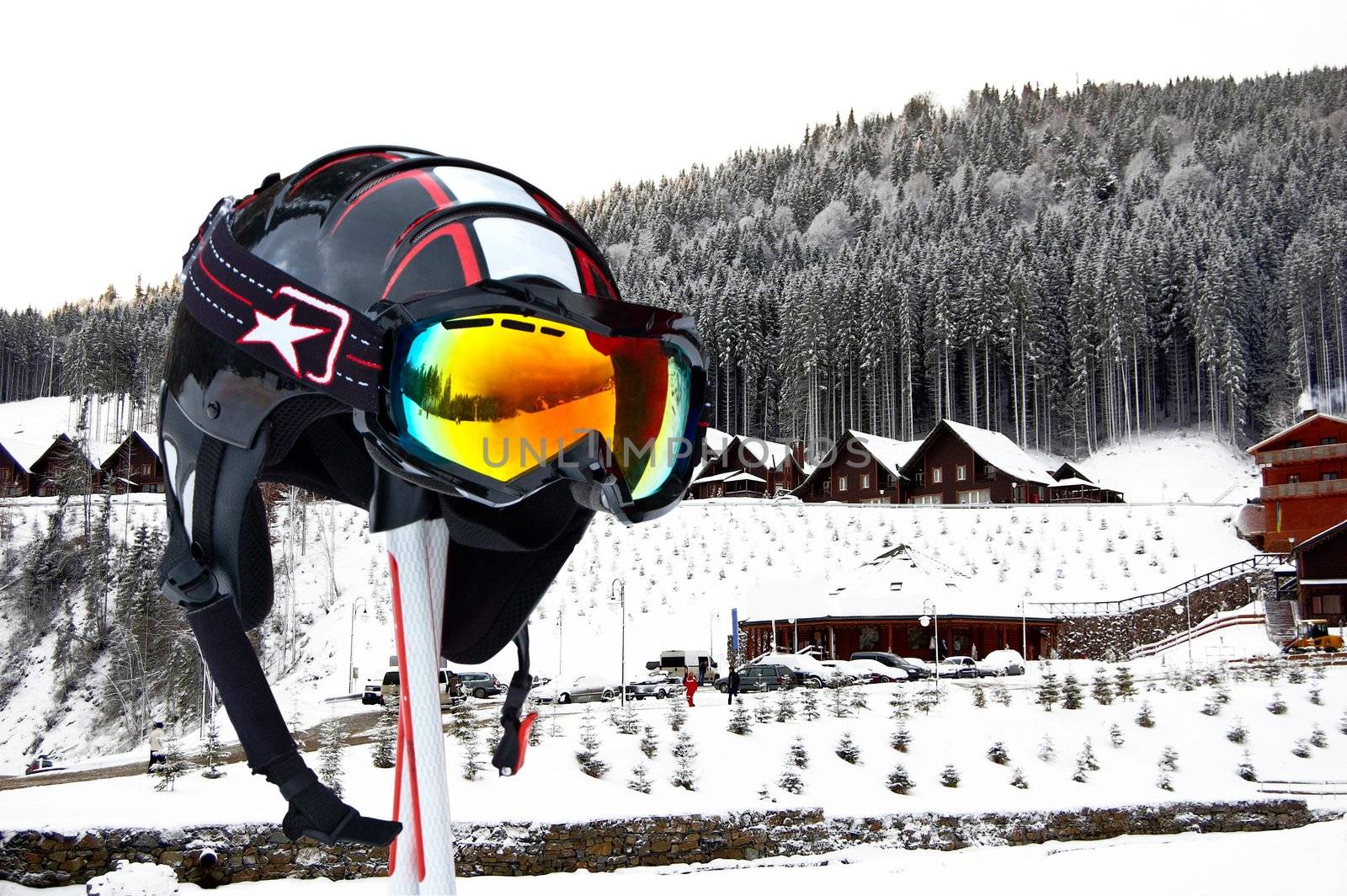 Ski helmet, pine, snow by galcka