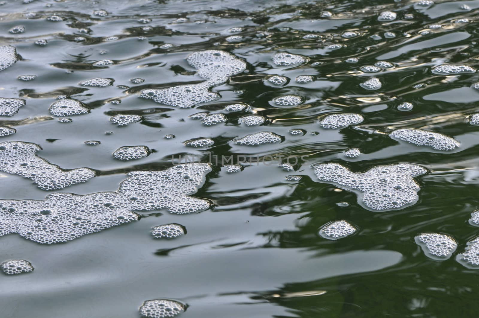 White Foam on the surface of green water with little waves