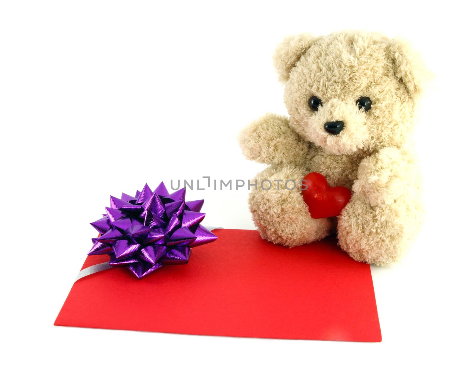 teddy bear toy with a gift card, isolated on white background by geargodz