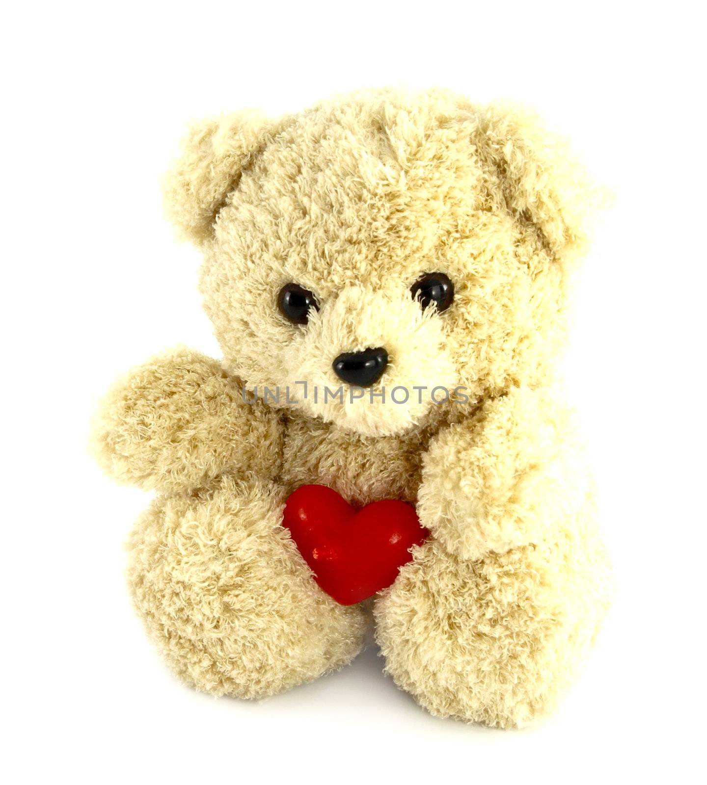 teddy bear toy with heart on white background by geargodz