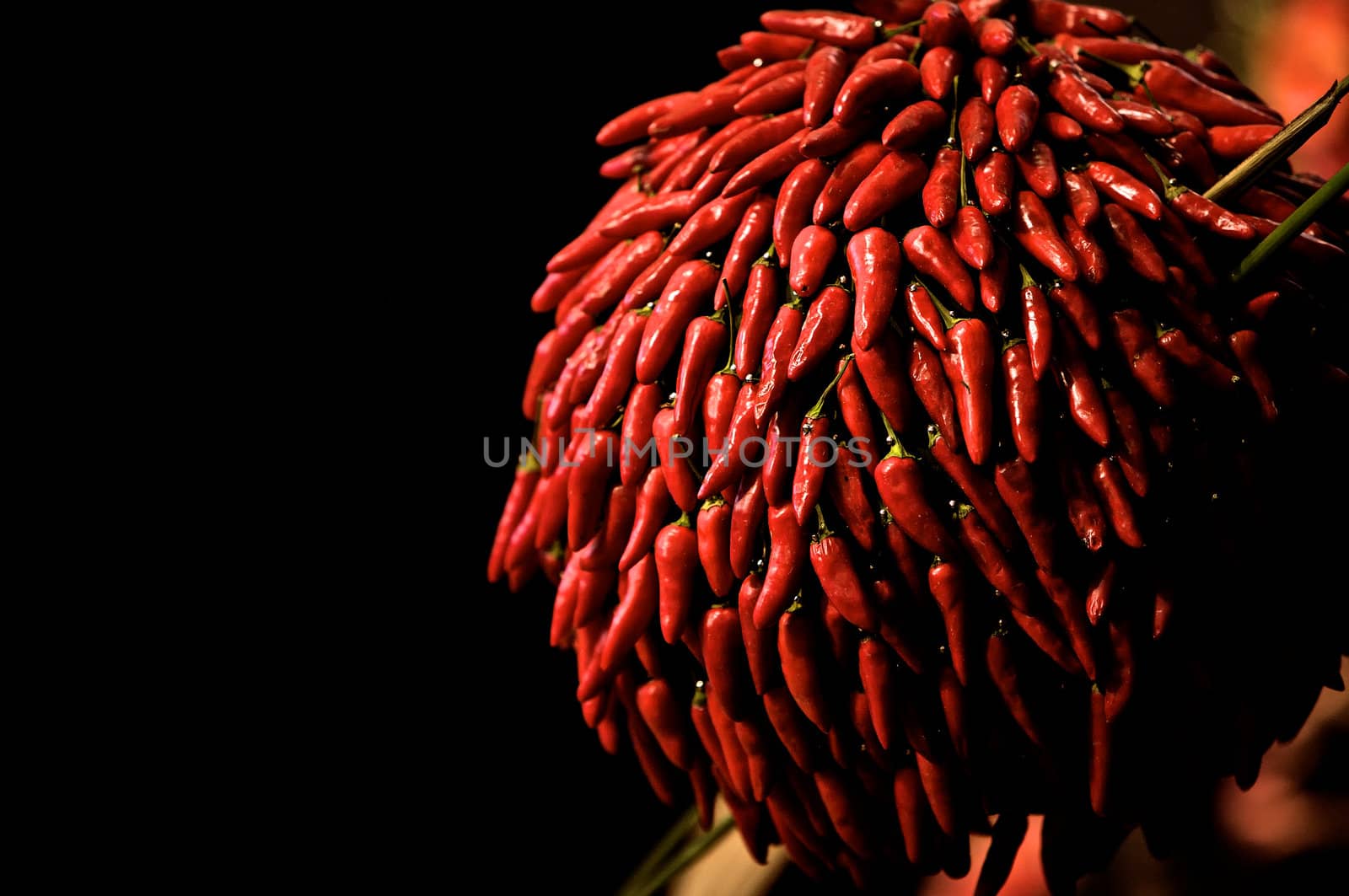 Red hot Chillies  by instinia