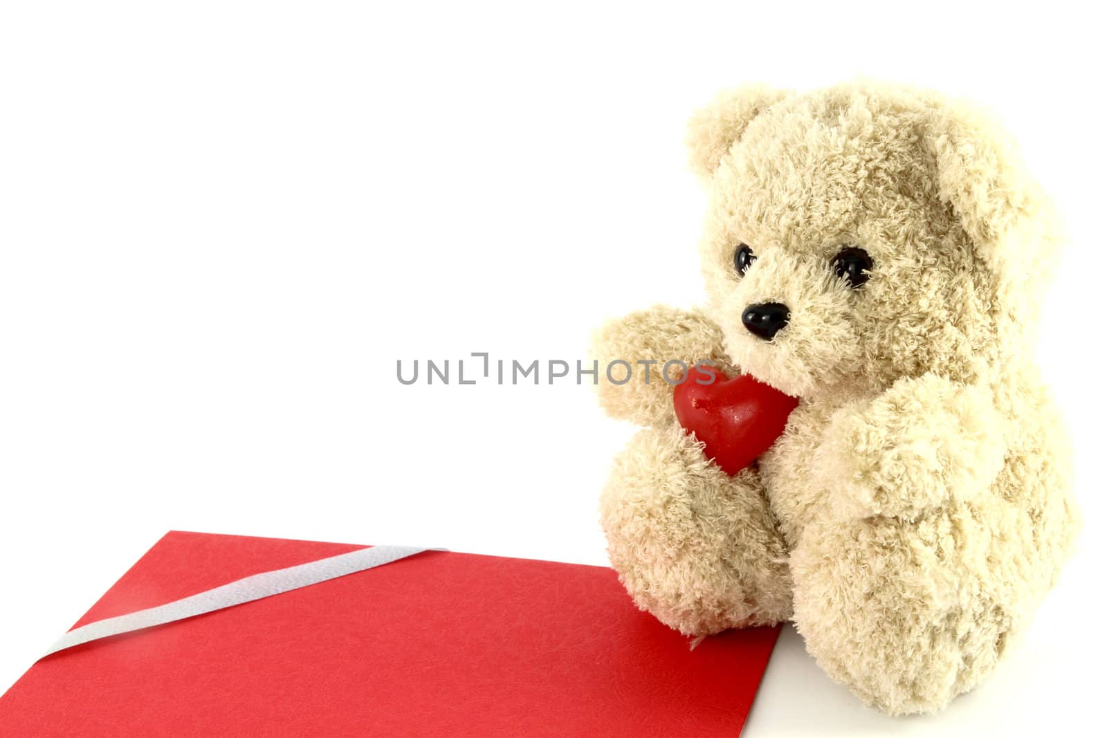teddy bear toy with a blank card, isolated on white background